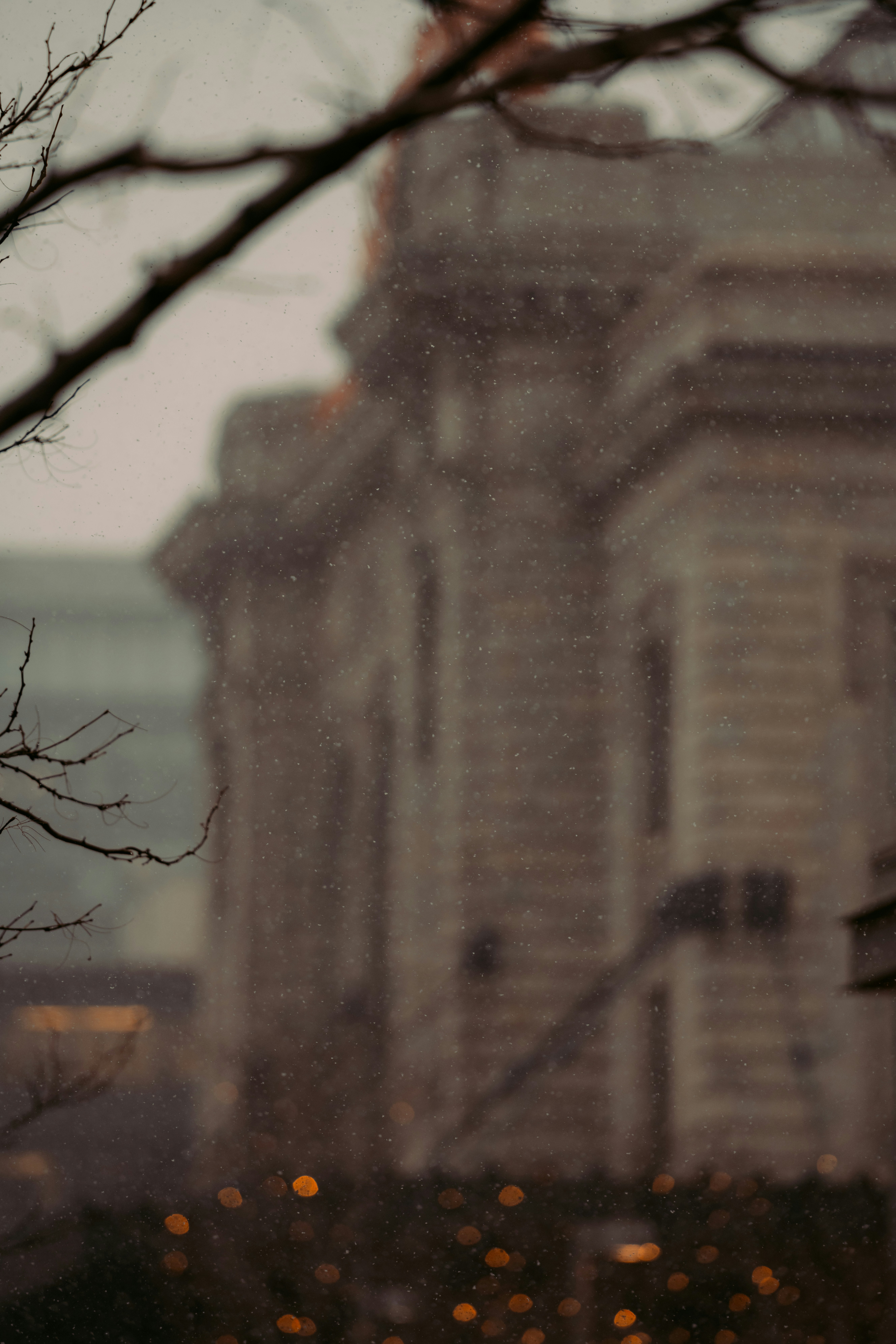 Photo by onthesearchforpineapples