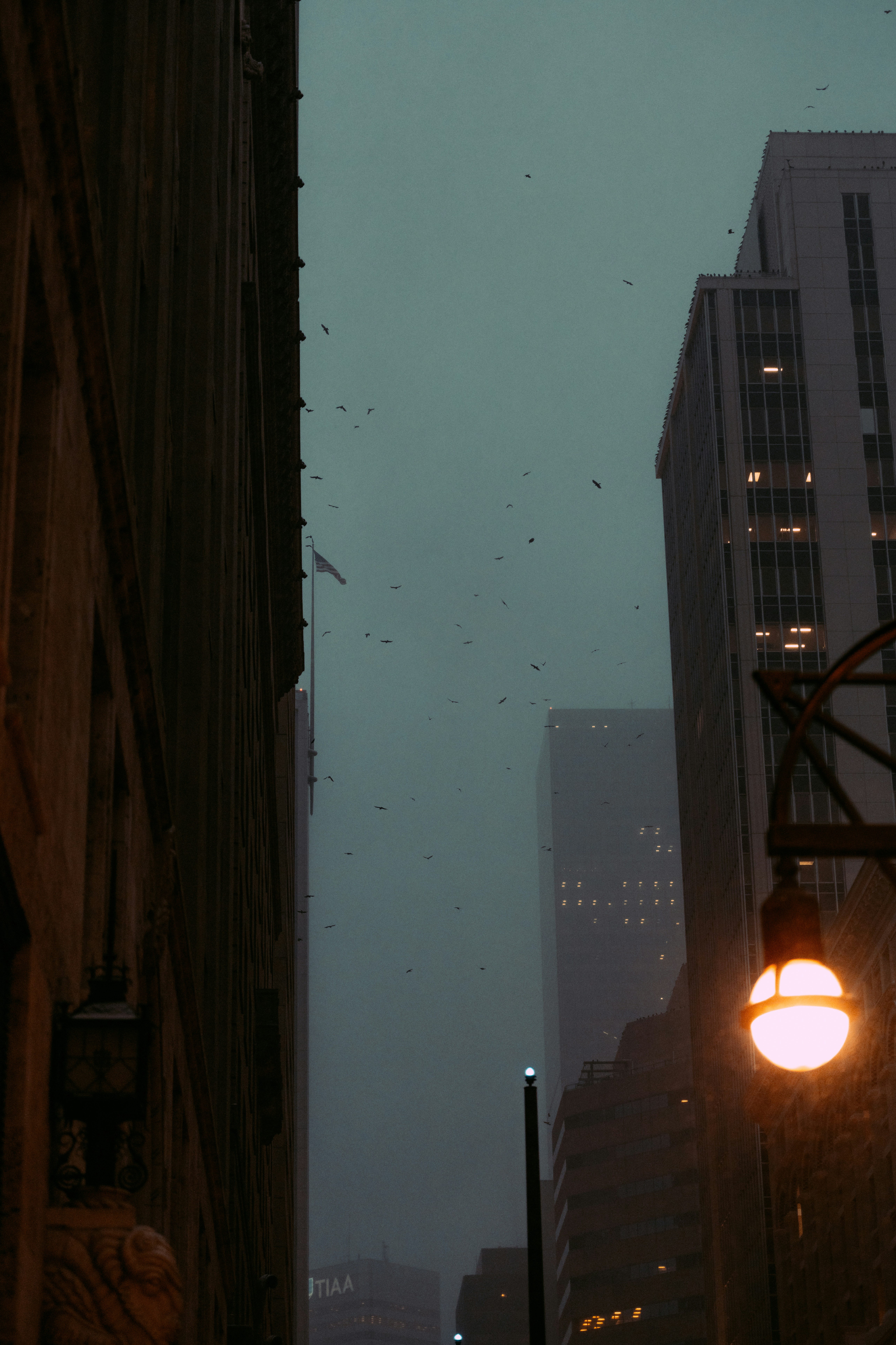 Photo by onthesearchforpineapples