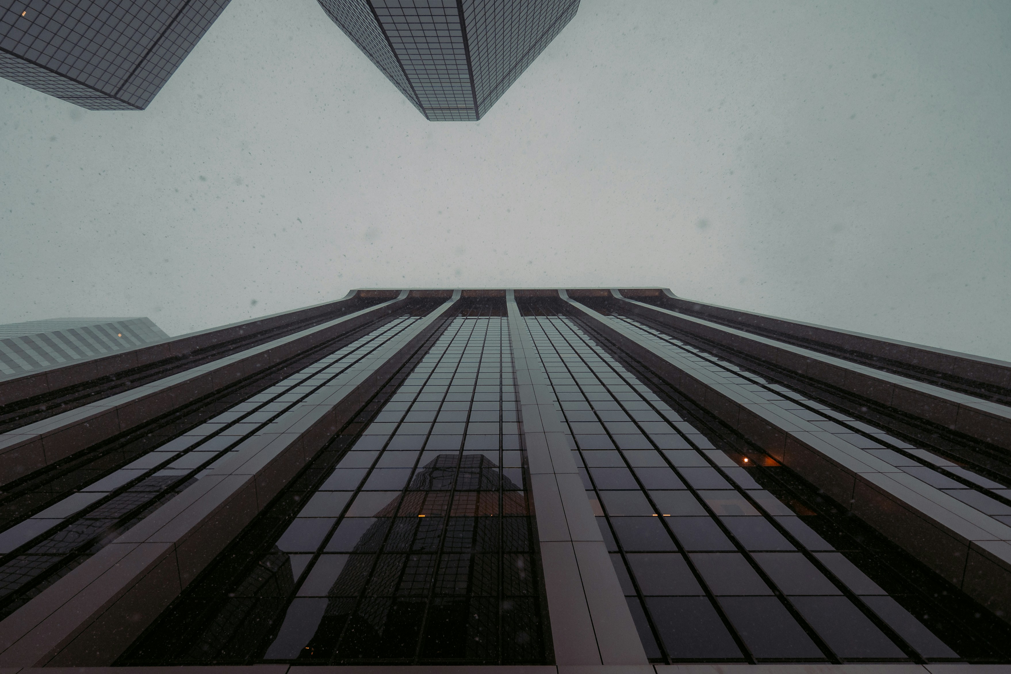 Photo by onthesearchforpineapples