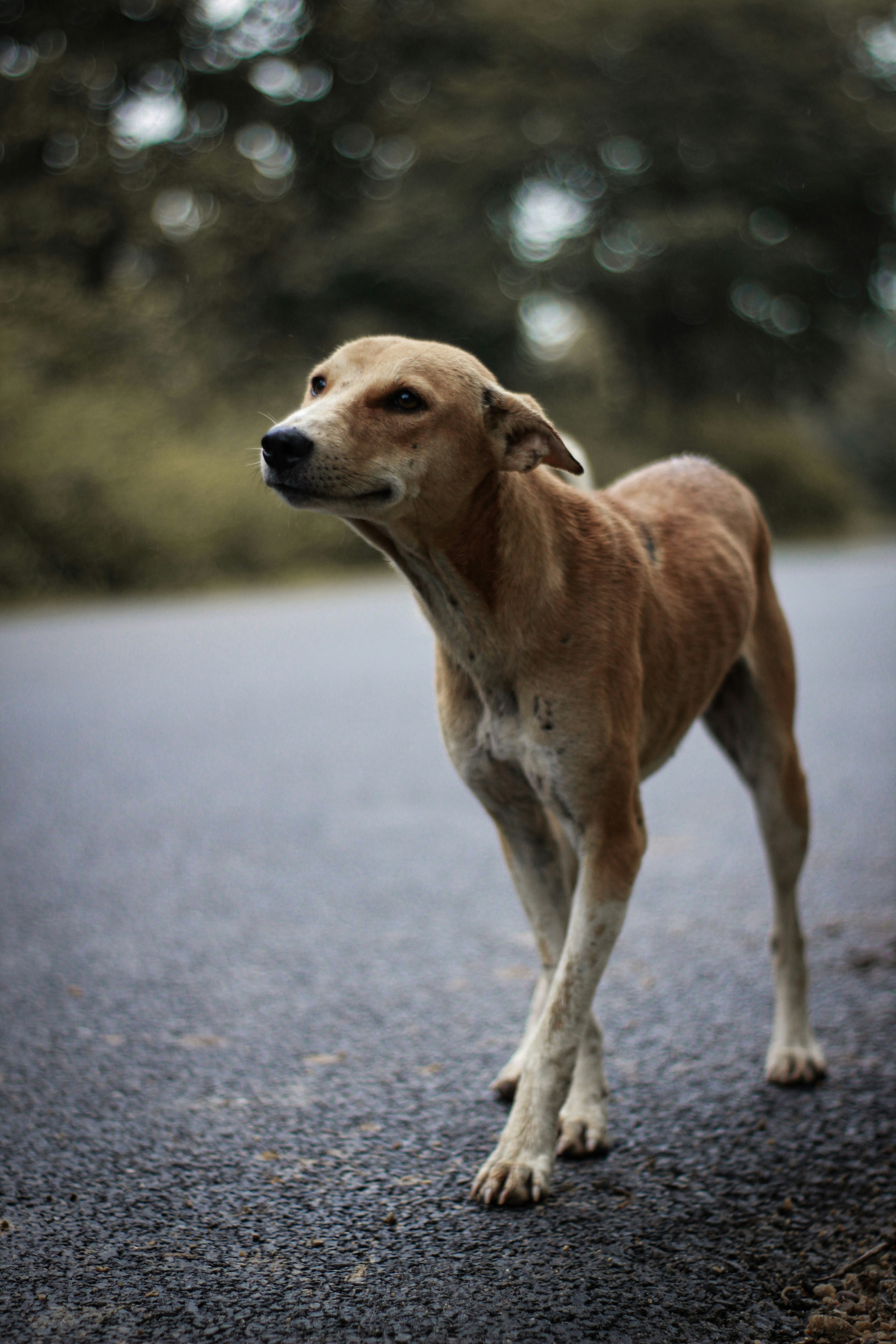 Photo by tusharranjan_