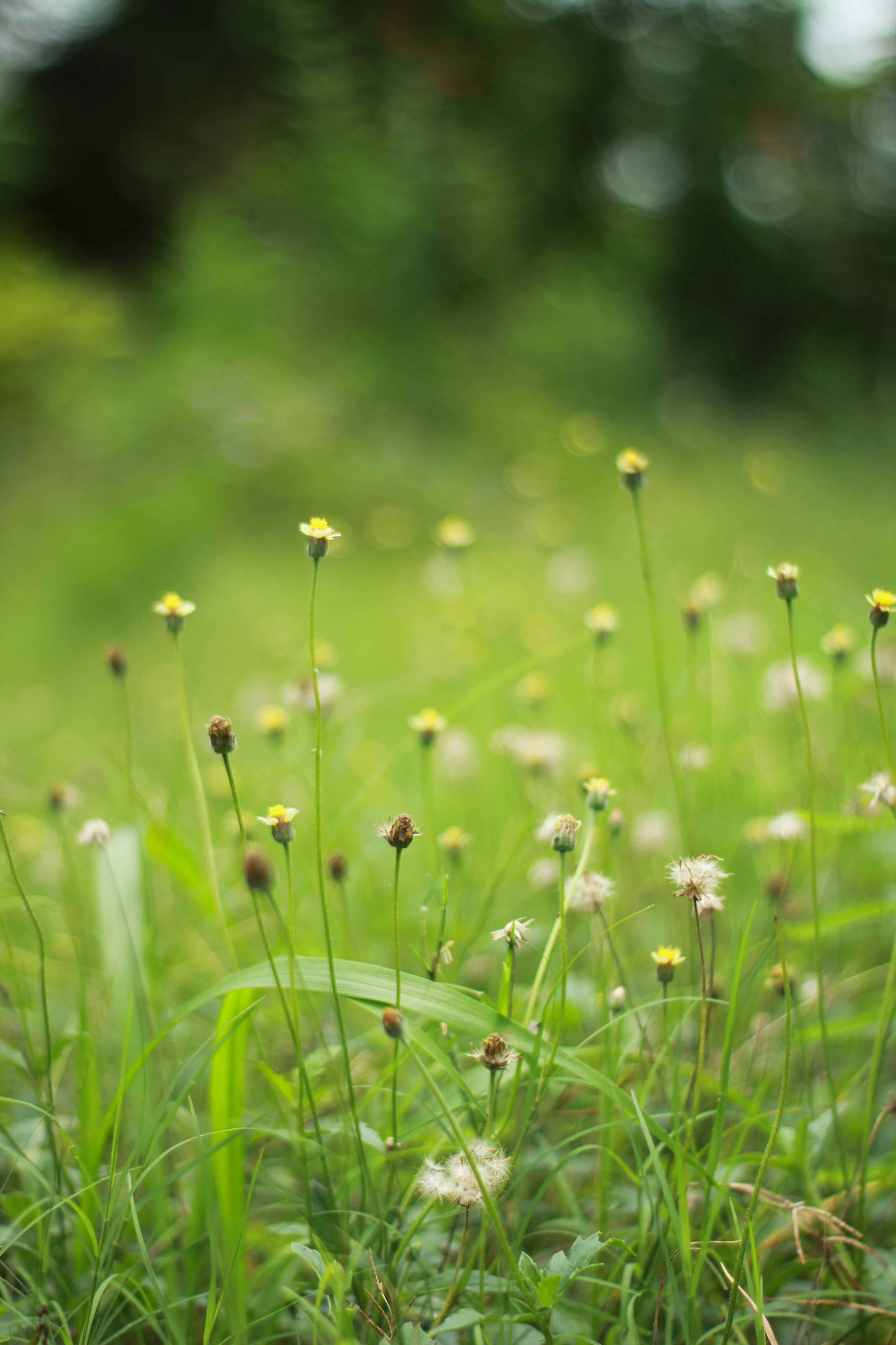 Photo by tusharranjan_