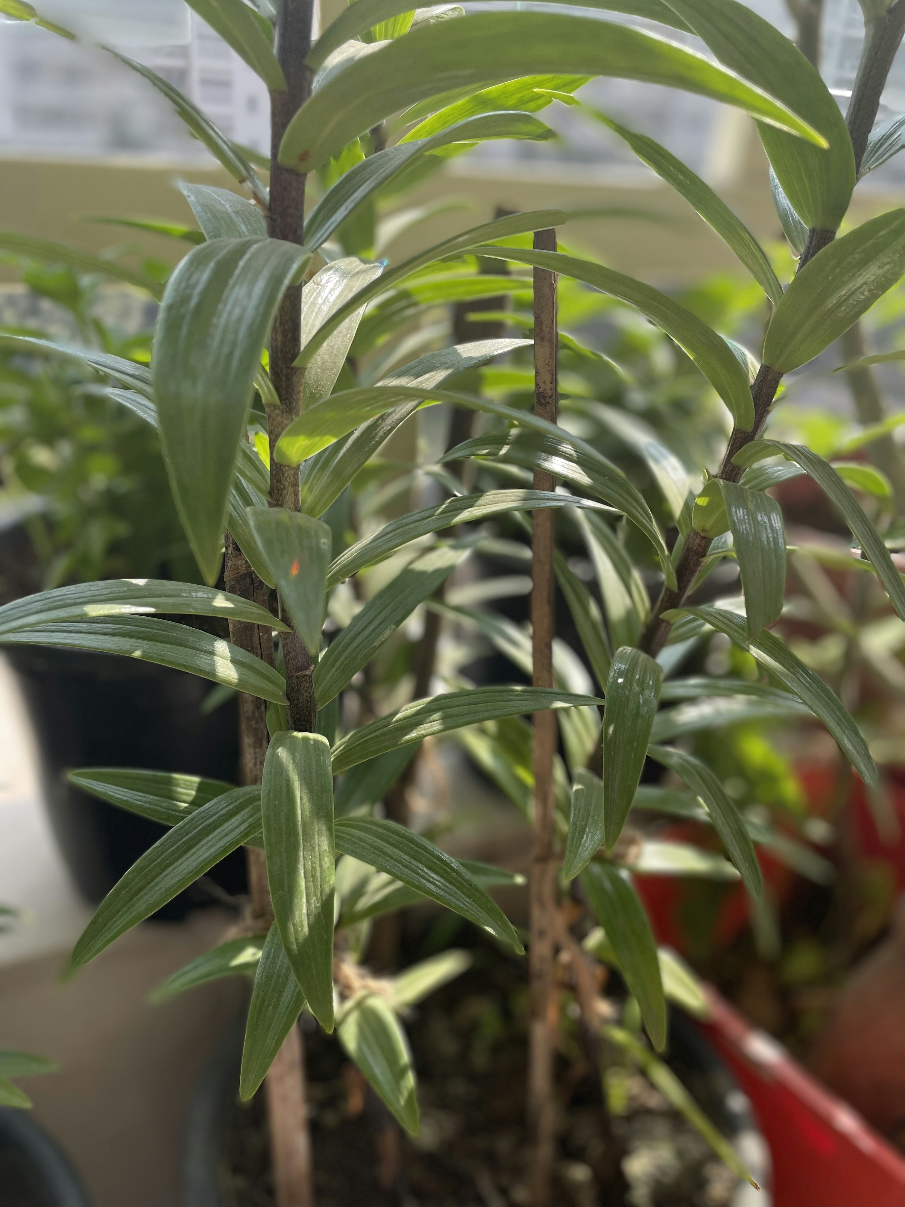 Photo by eobardthawne2657