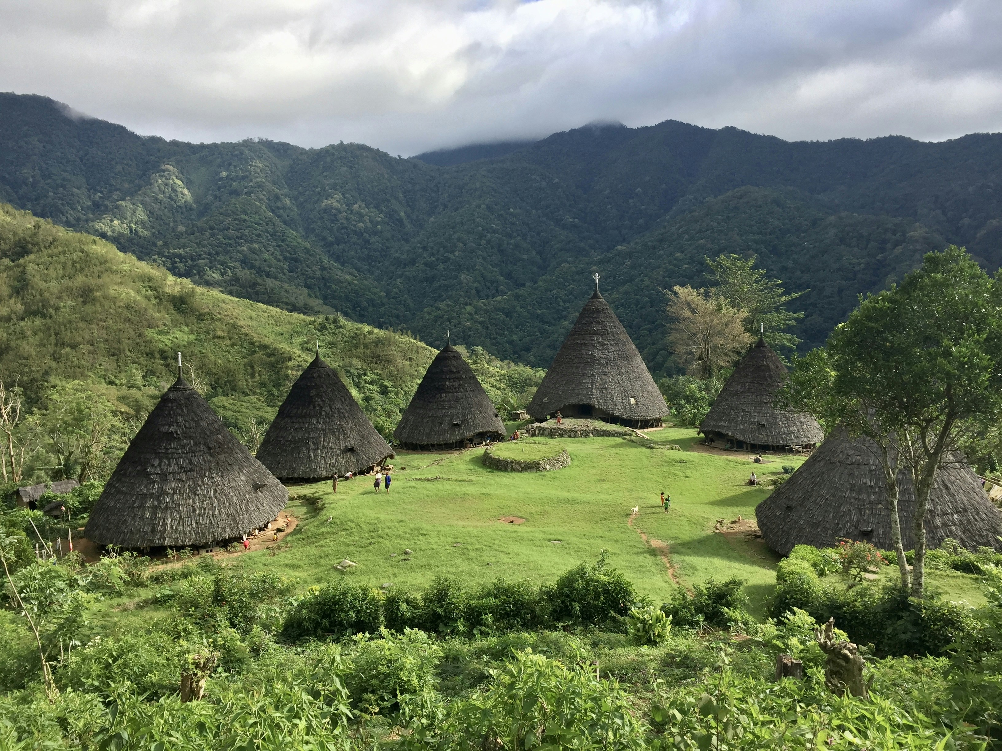 a group of huts sitting on top of a lush green hillside
