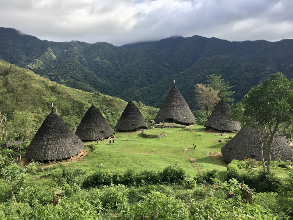 a group of huts sitting on top of a lush green hillside