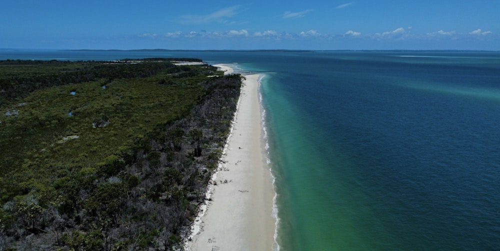 an aerial view of a beach and a body of water