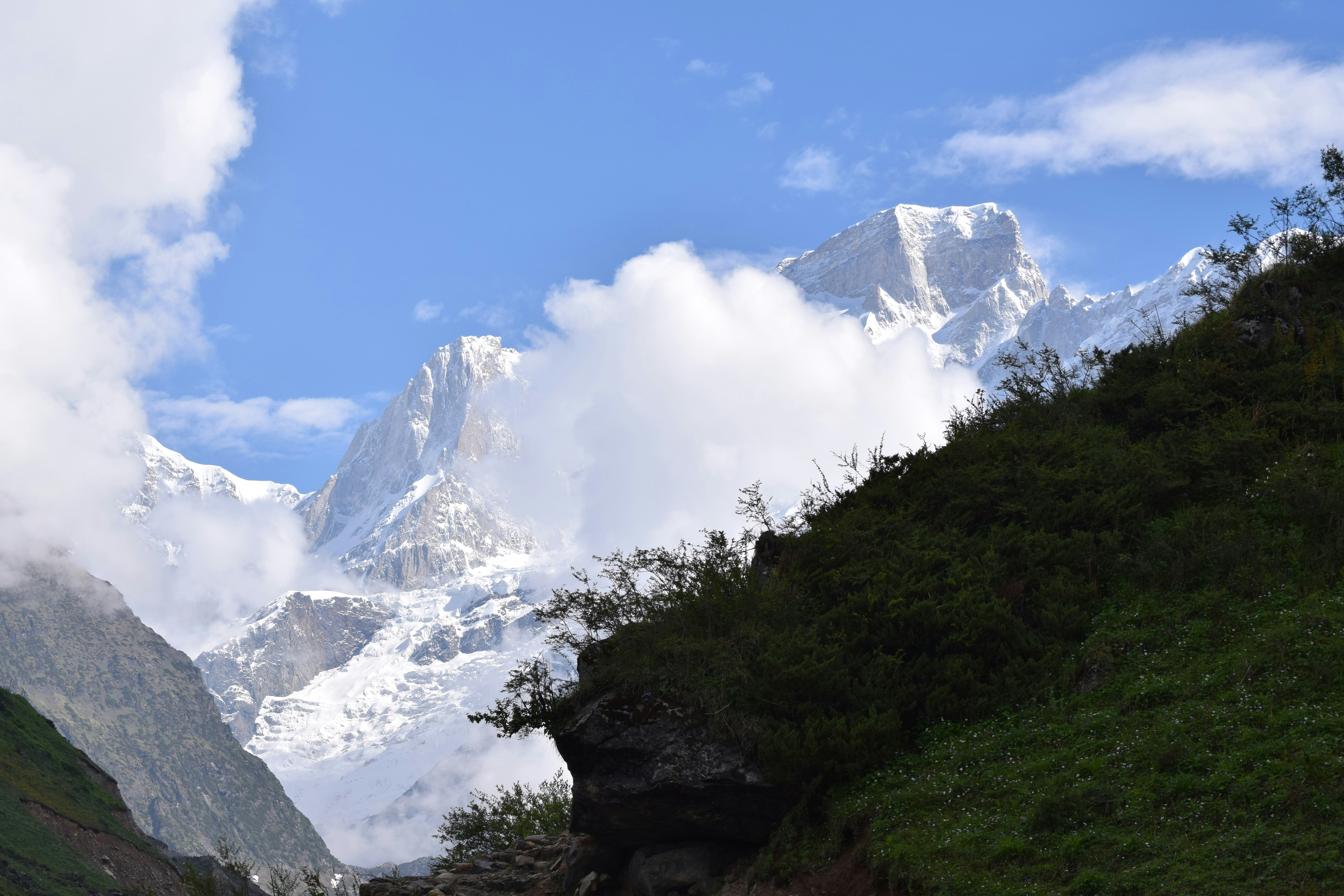 Photo by thehimalayanpanda