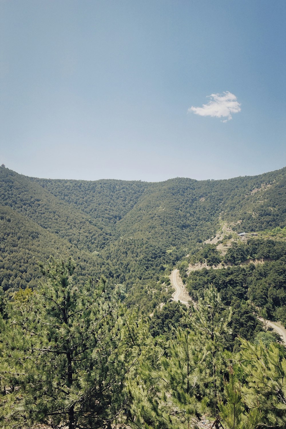 a scenic view of a road in the middle of a forest