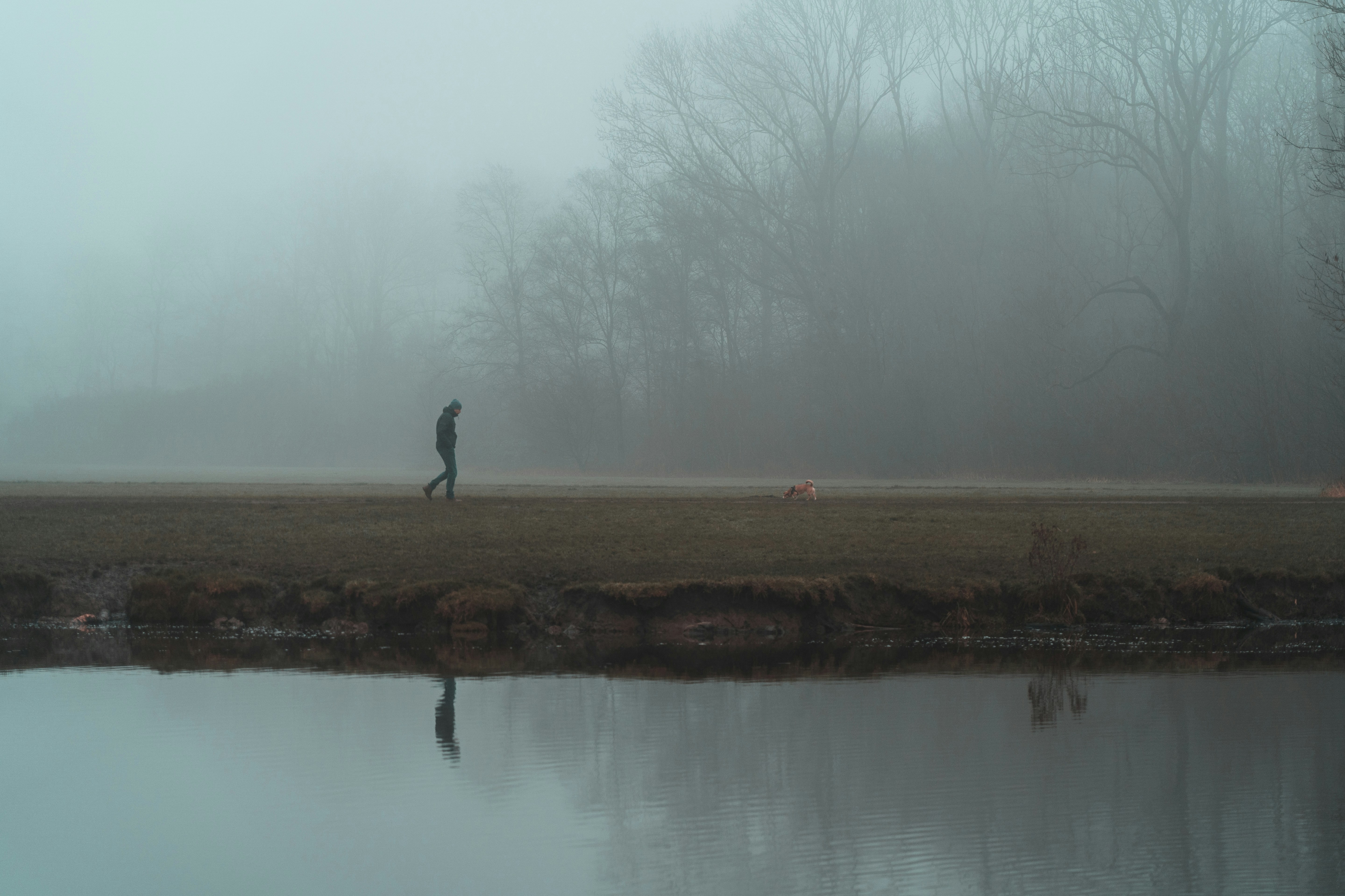 Photo by mitchelanneveldt