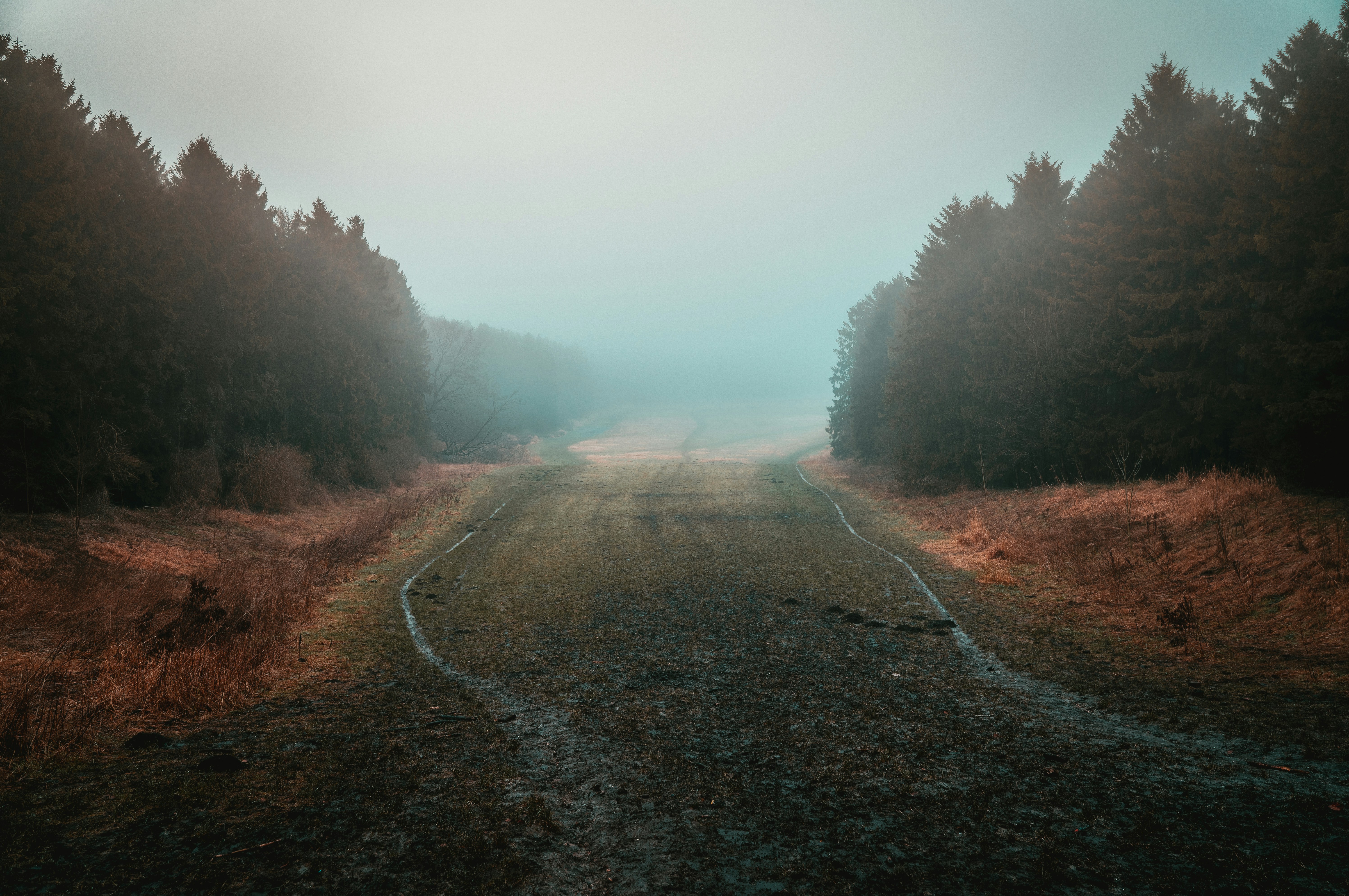 Photo by mitchelanneveldt