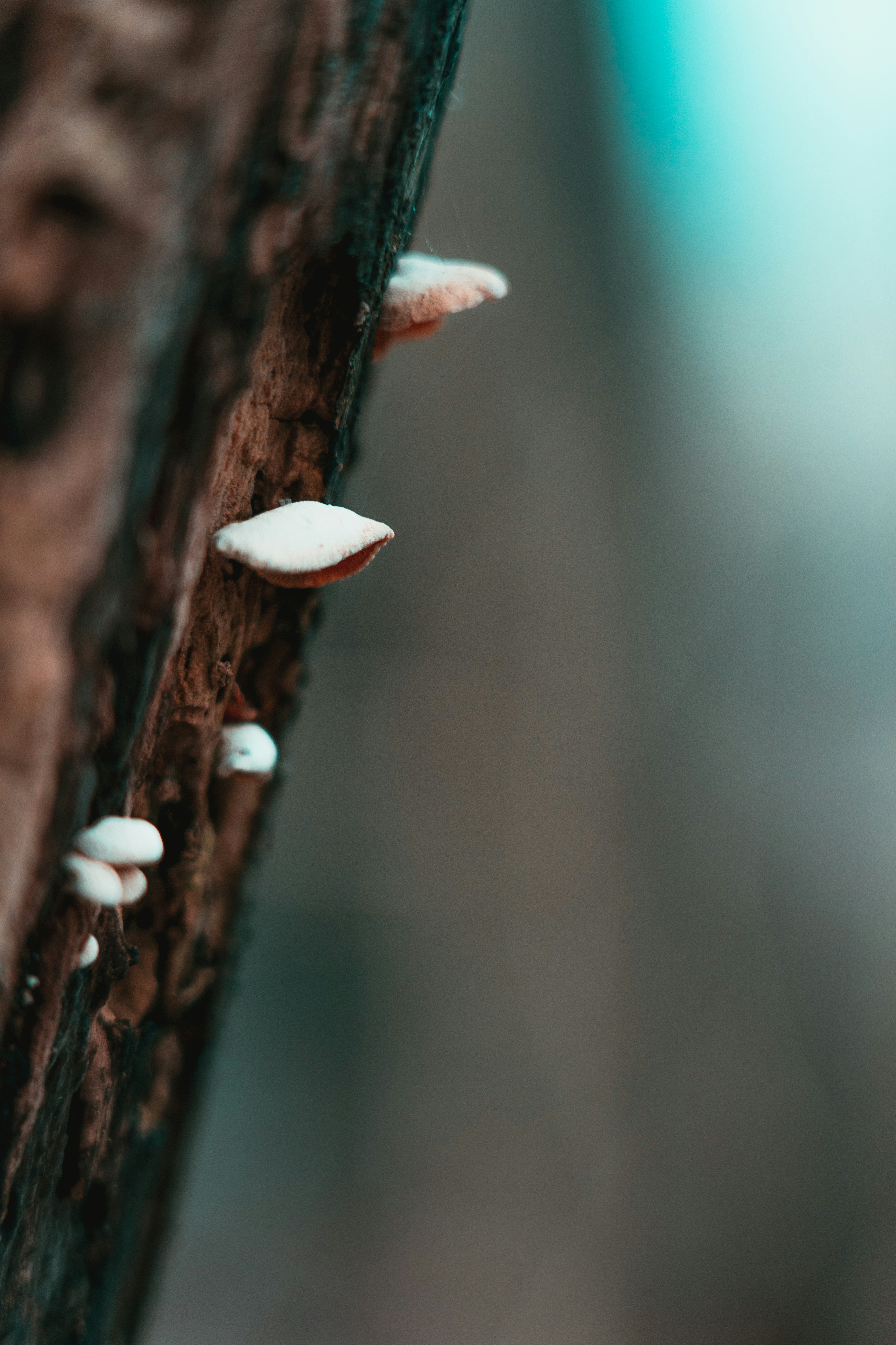 Photo by mitchelanneveldt