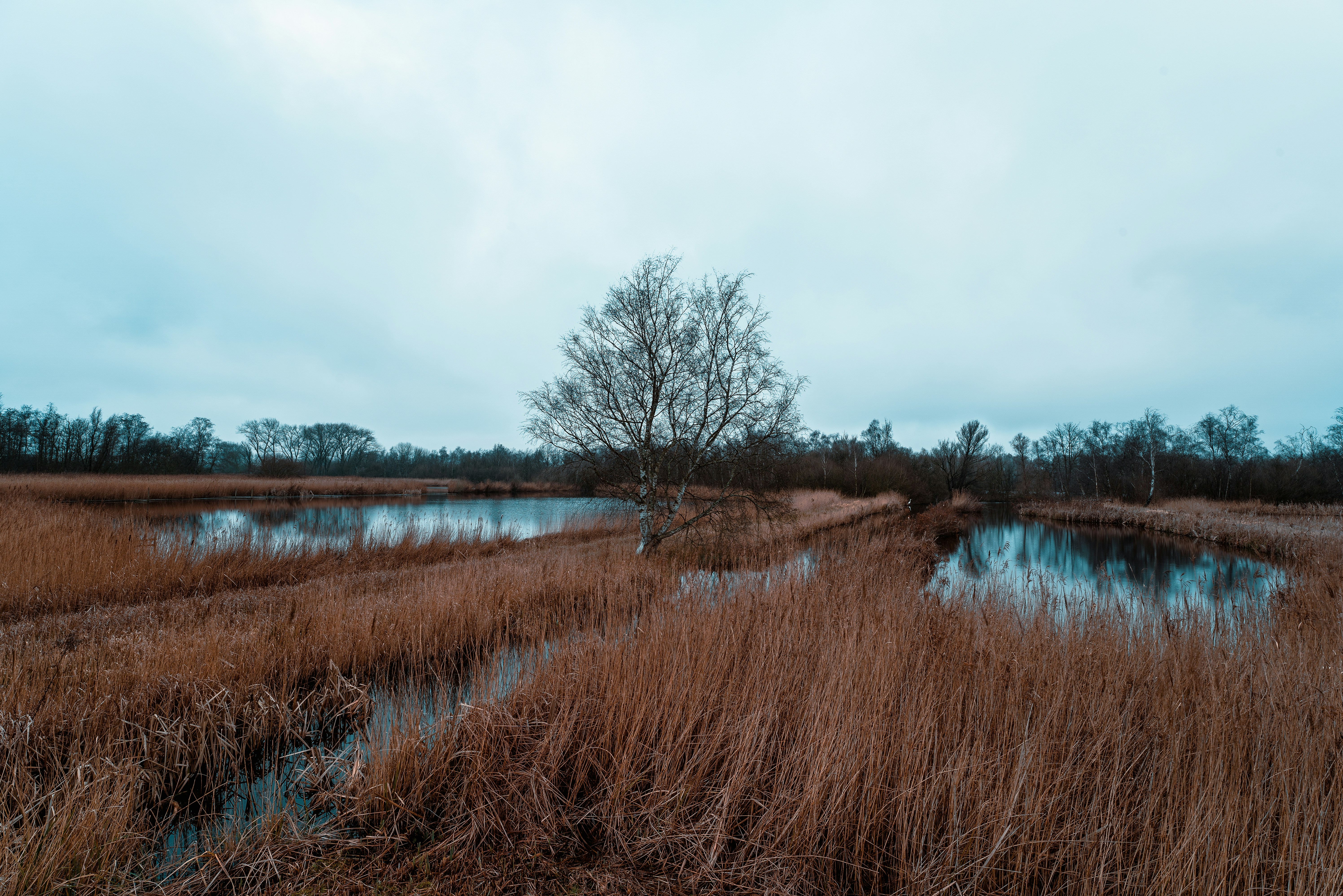 Photo by mitchelanneveldt