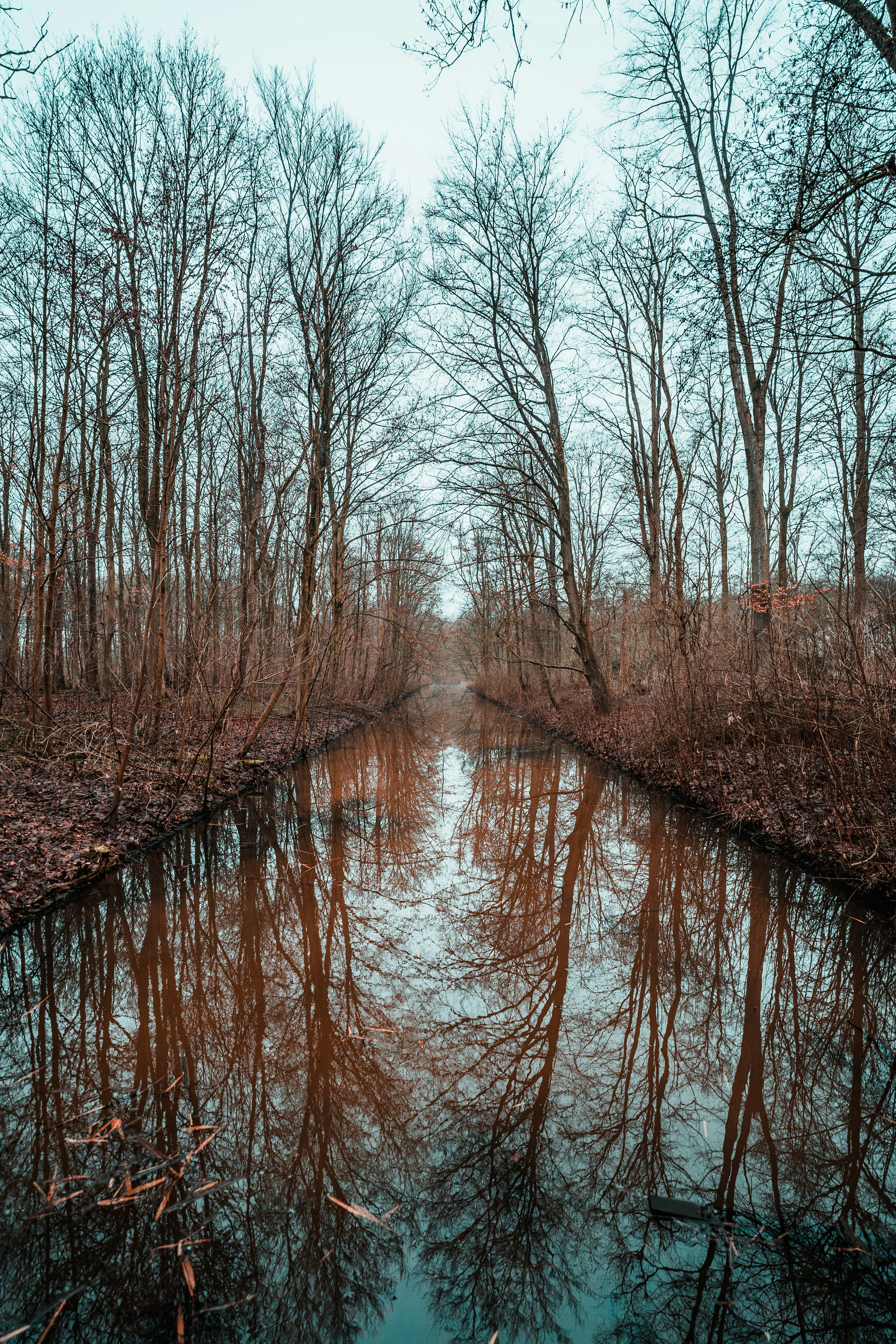 Photo by mitchelanneveldt