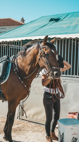 A person is tending to a brown horse near a stable with a green canopy roof. The horse is adorned with a black Western-style saddle and intricate leather harness. The scene appears to be in an outdoor stable area with a few visible buildings in the background.