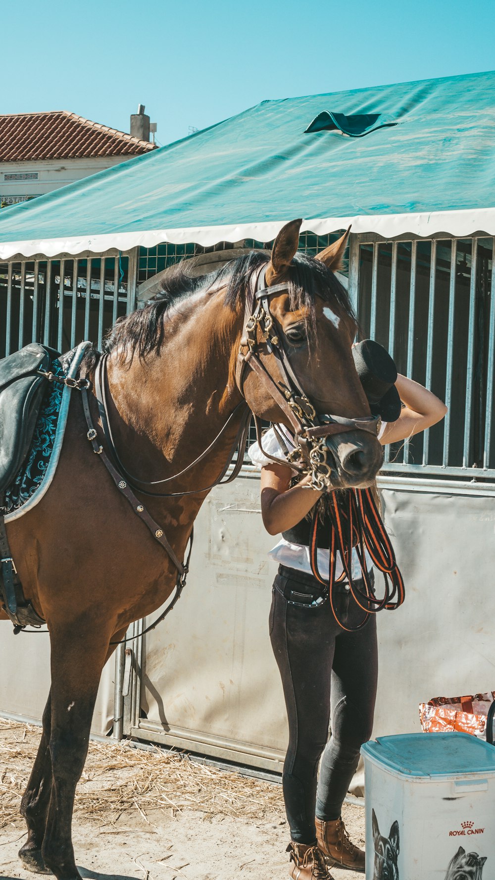 a woman standing next to a brown horse