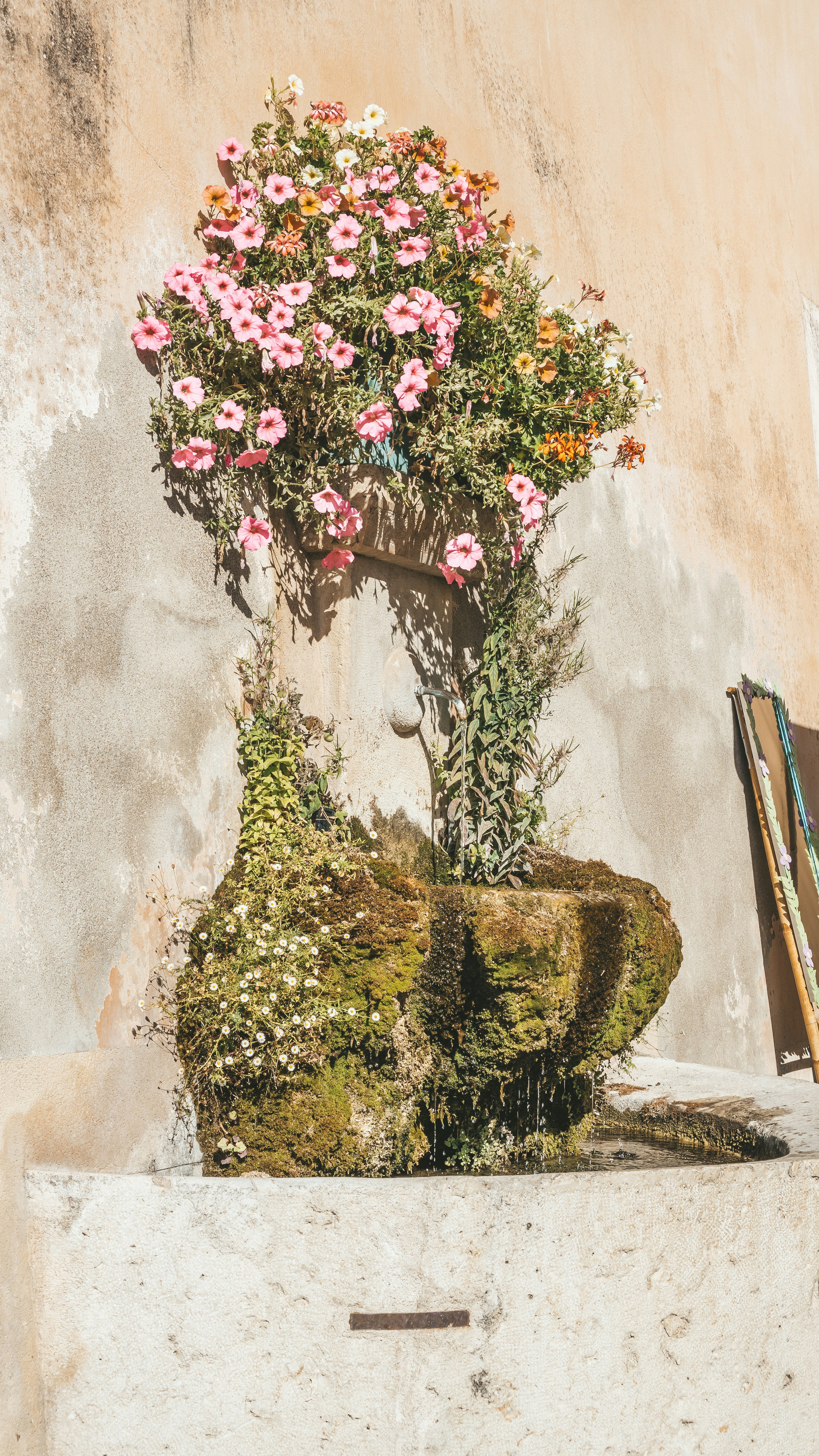 Photo by filizelaerts