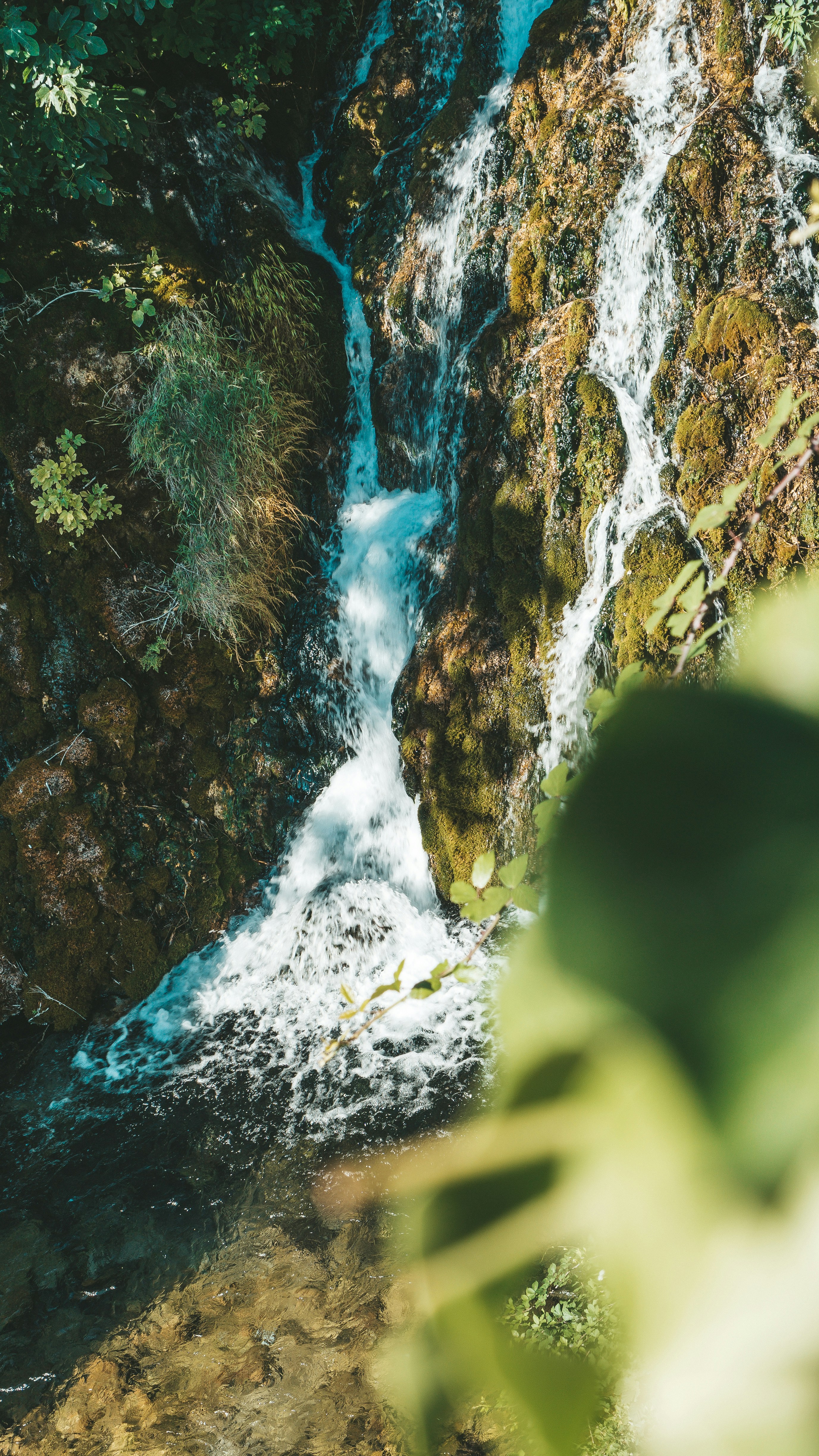 Photo by filizelaerts