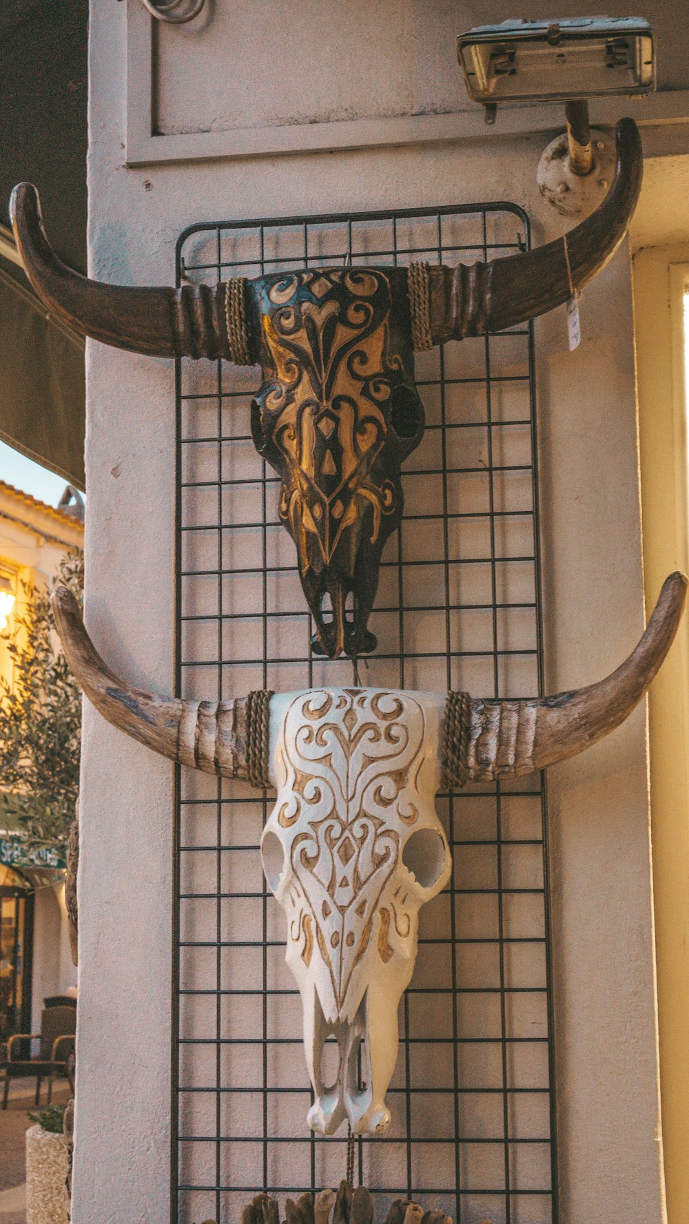 a cow skull mounted to the side of a building