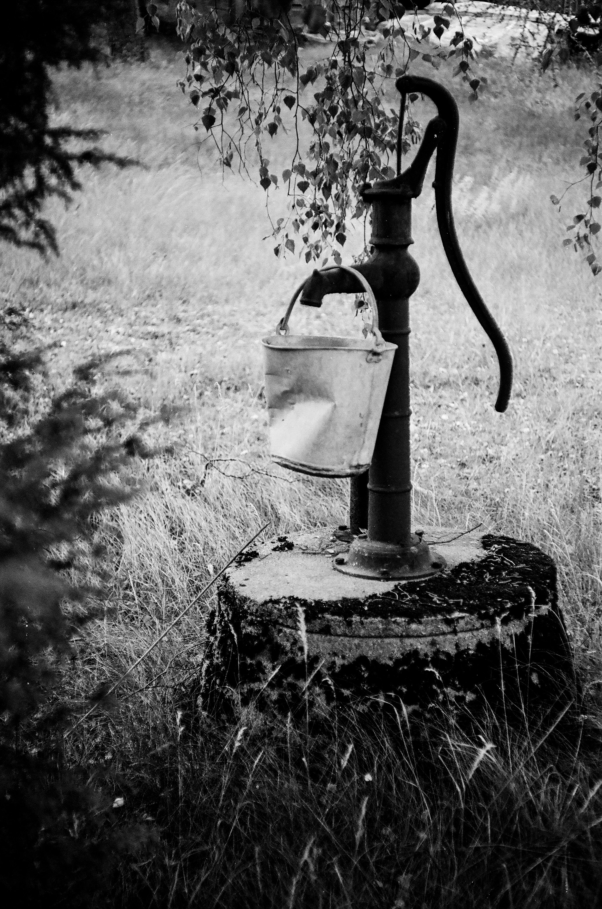 Photo by algrey