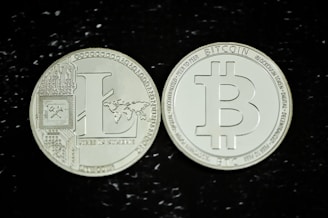 Two metallic coins are displayed against a black background. One coin features the Litecoin symbol with intricate circuit designs and a map of the world, while the other coin features the Bitcoin symbol. Both coins have detailed engravings and a shiny finish.