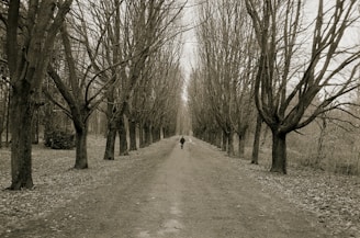 a black and white photo of a person walking down a dirt road