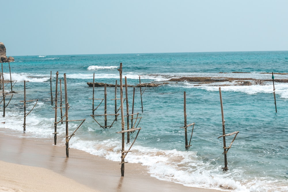 Una playa con un montón de postes que sobresalen del agua