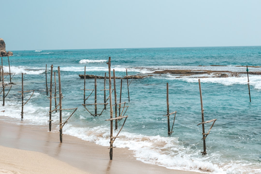 a beach with a bunch of poles sticking out of the water,