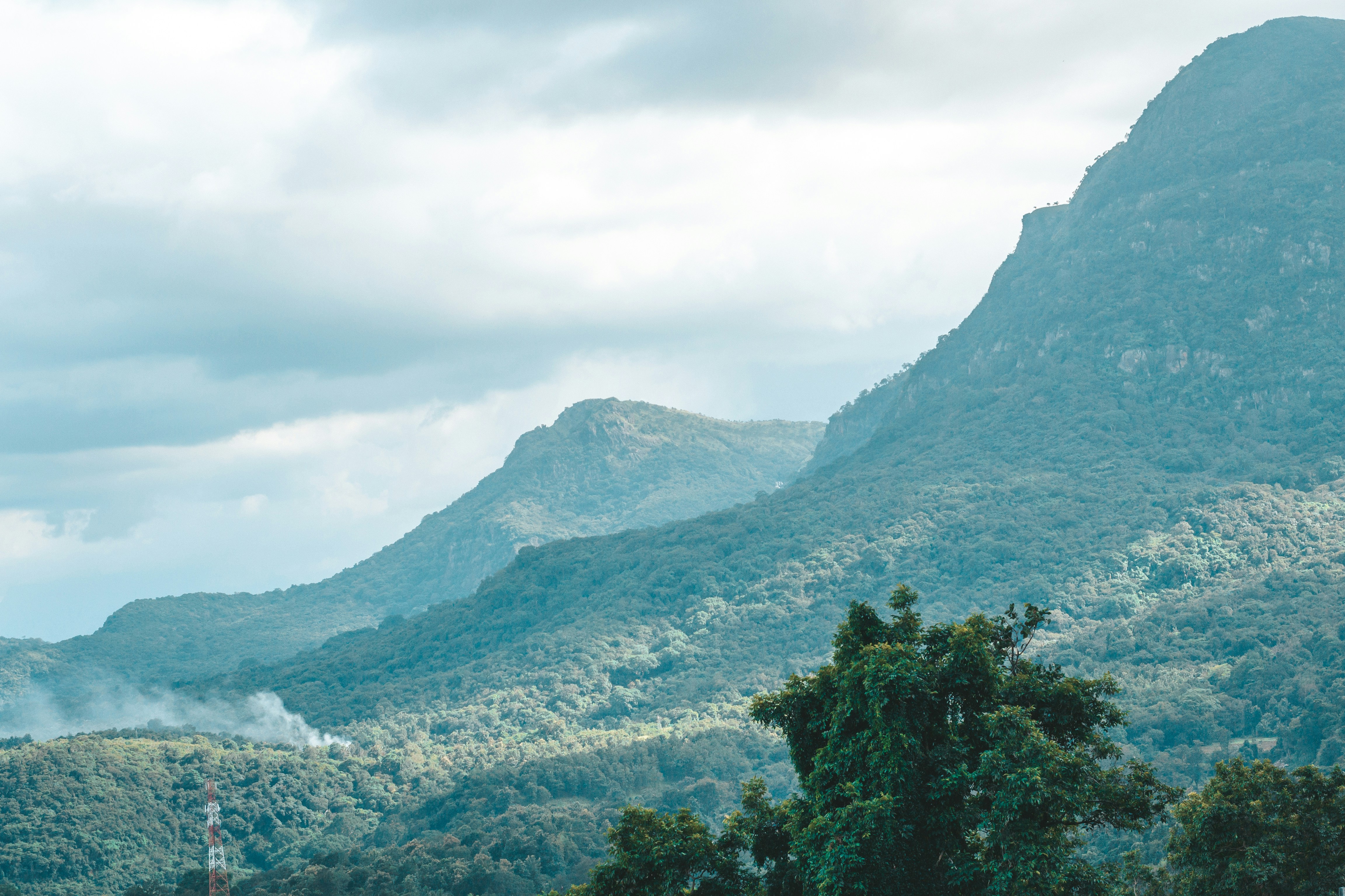 Photo by filizelaerts