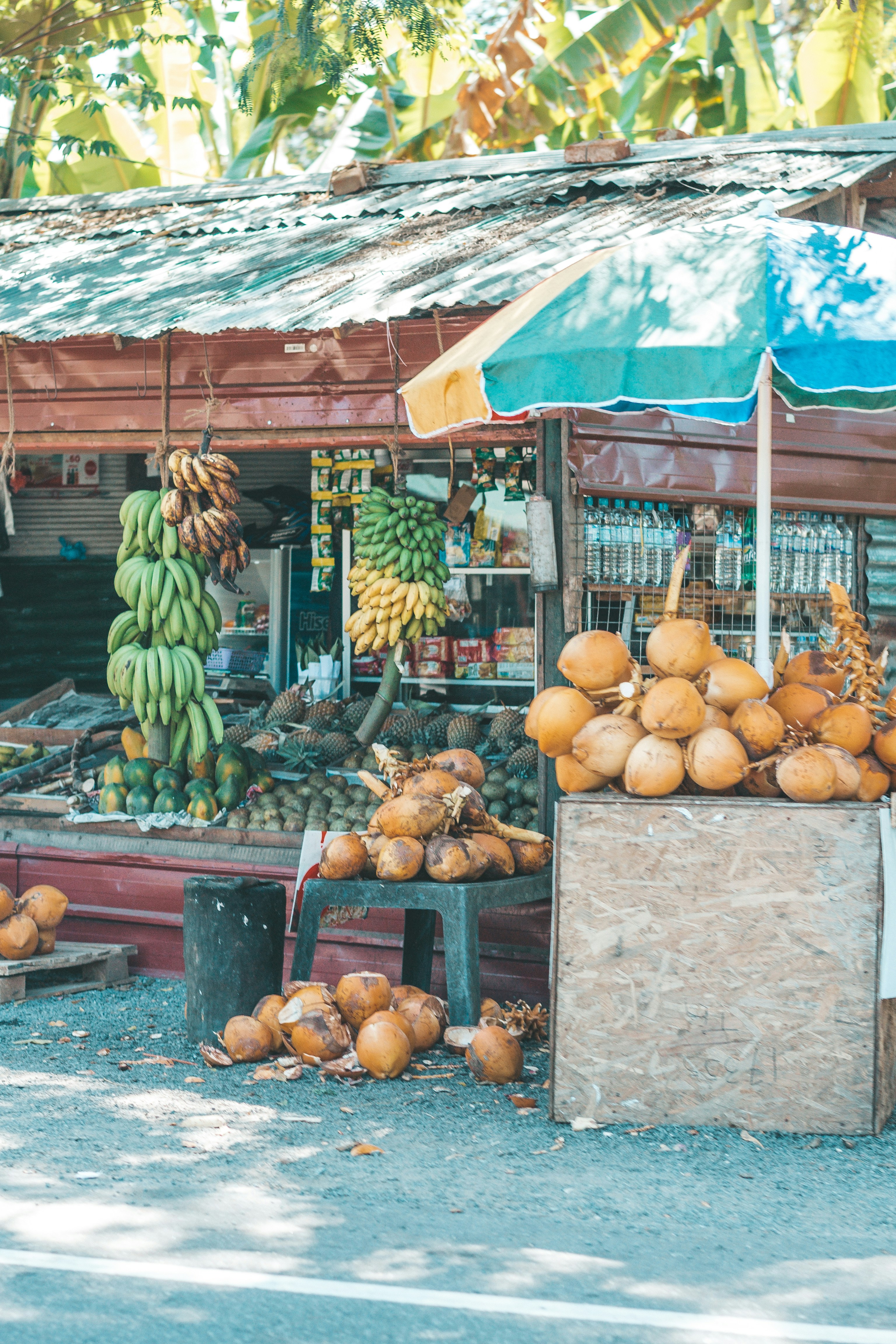 Photo by filizelaerts