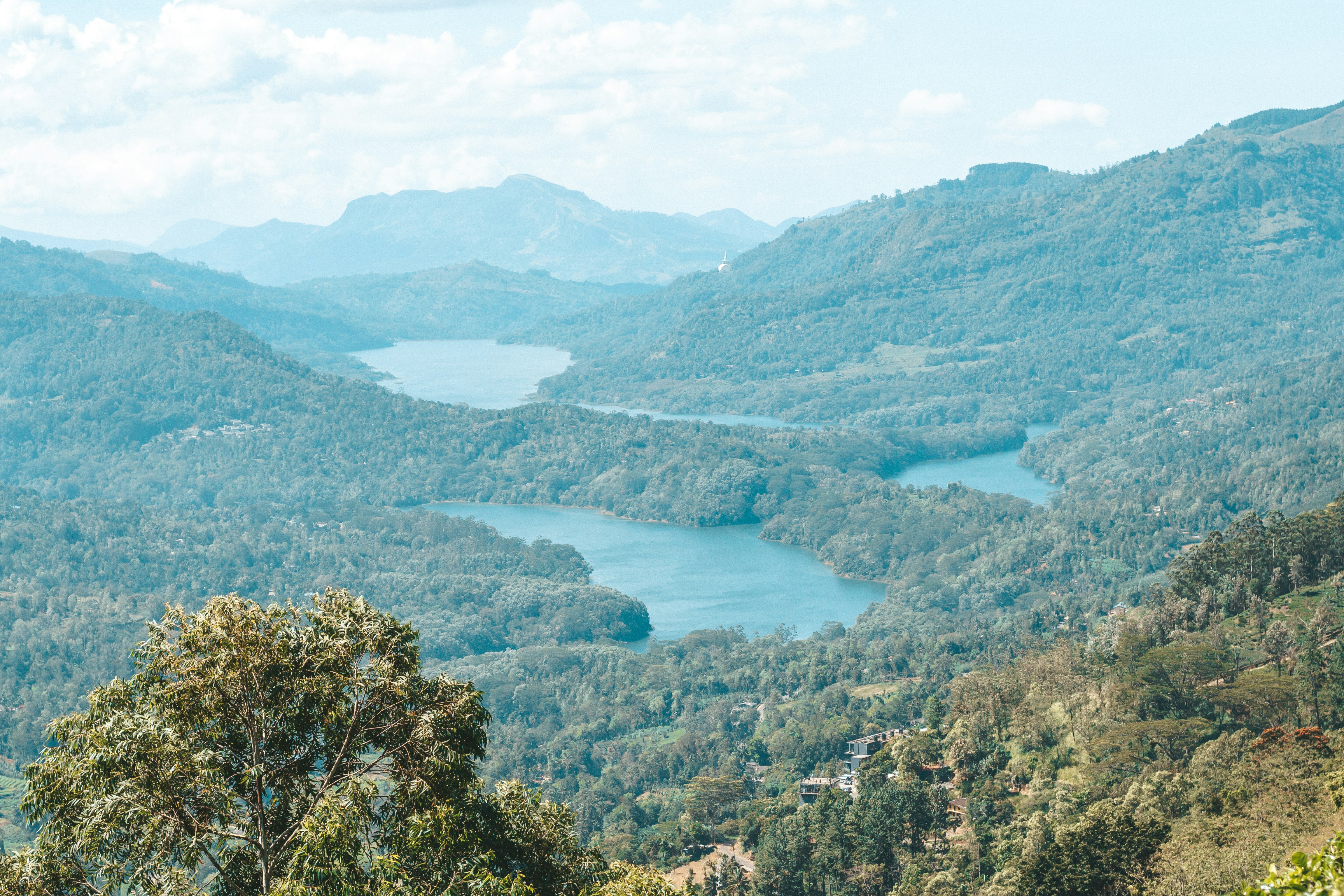 Photo by filizelaerts