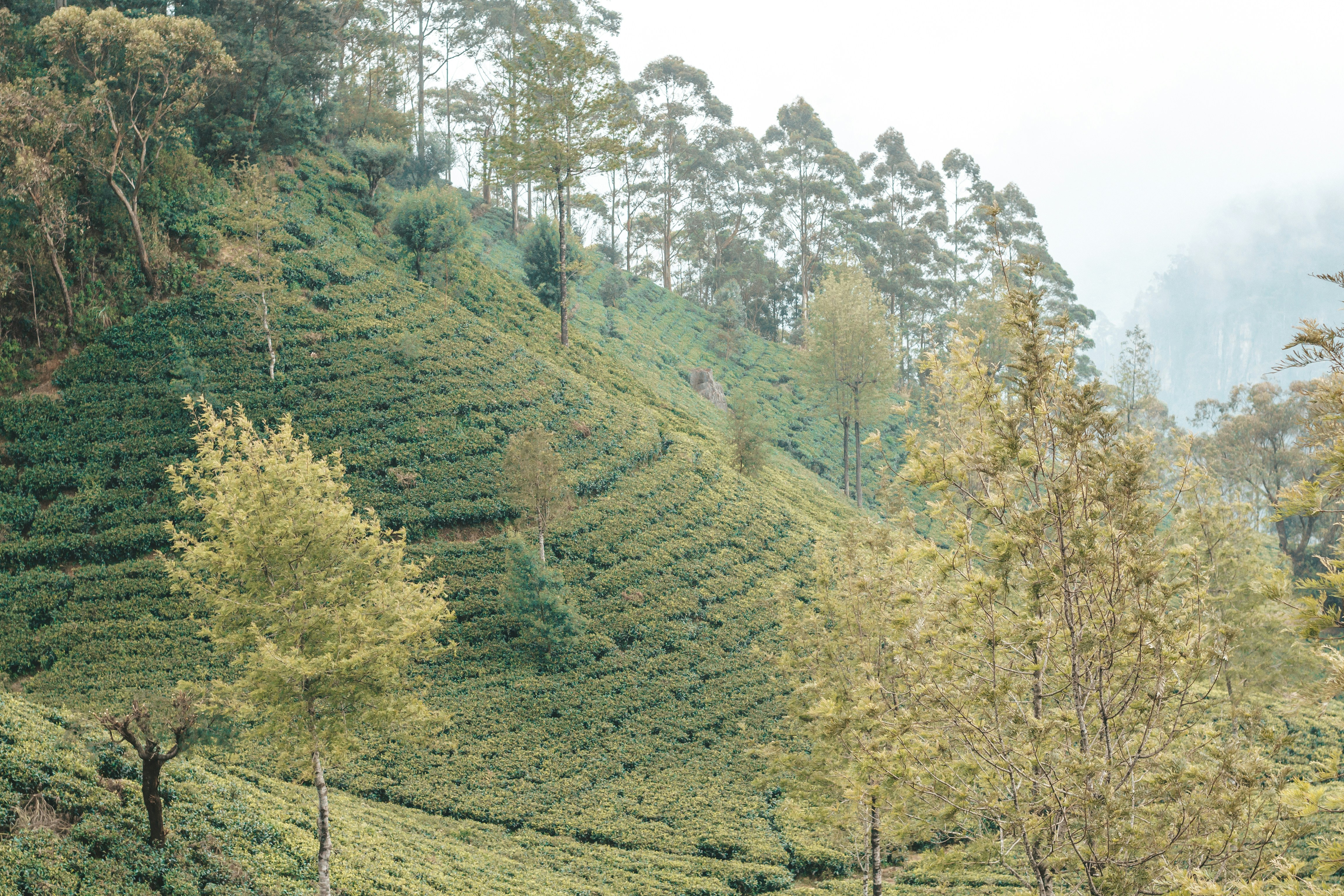 Photo by filizelaerts