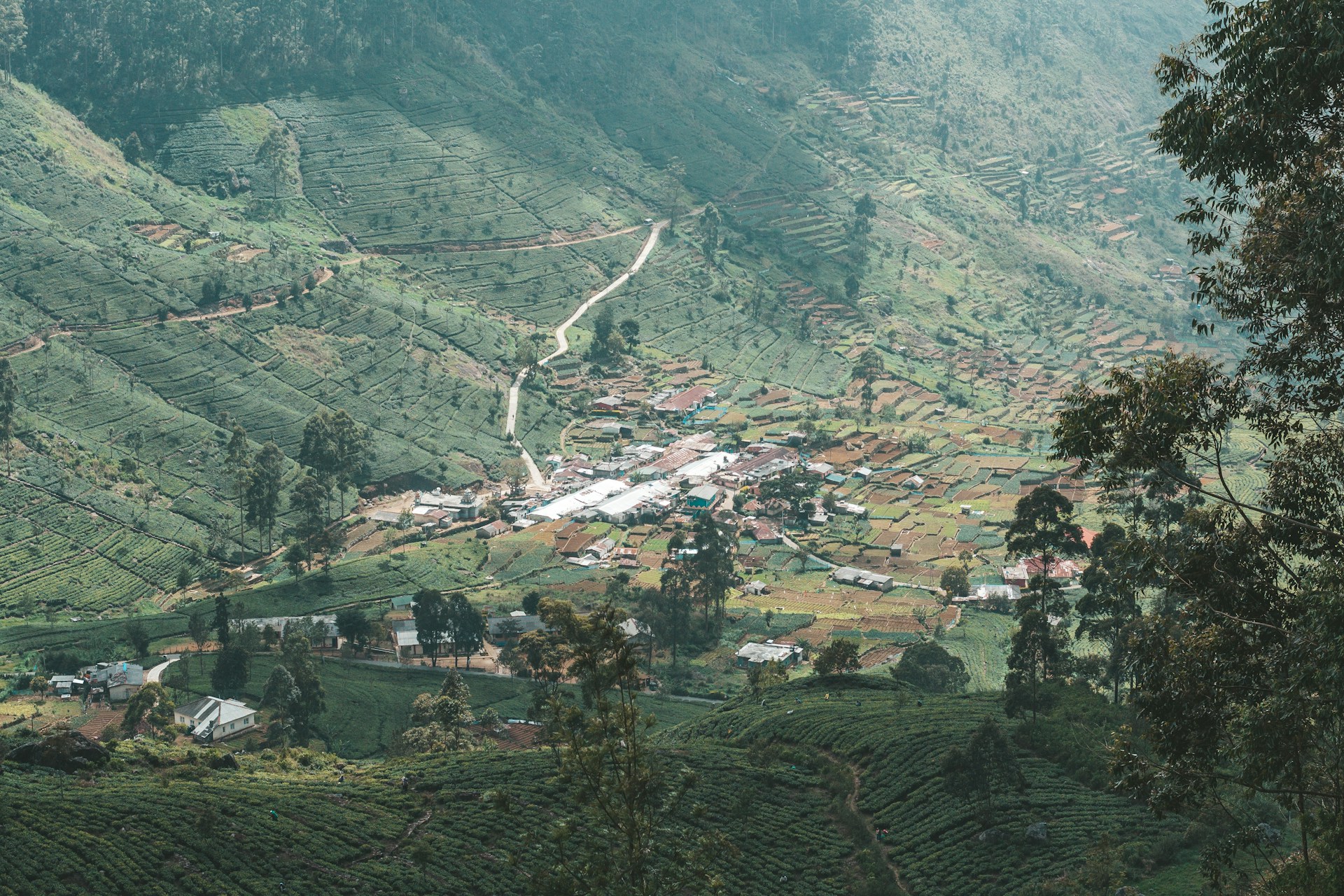 a view of a village in the middle of a valley