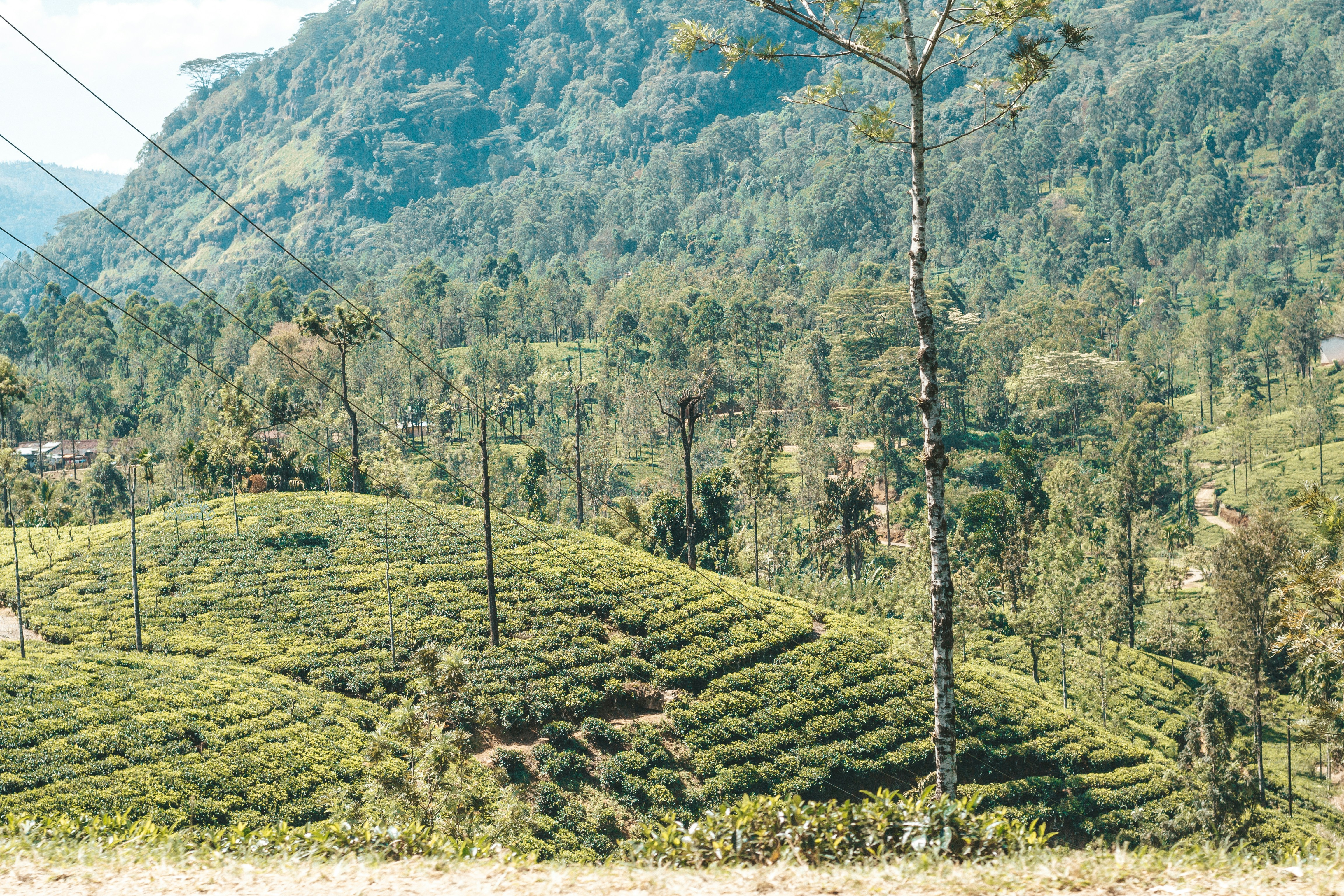 Photo by filizelaerts