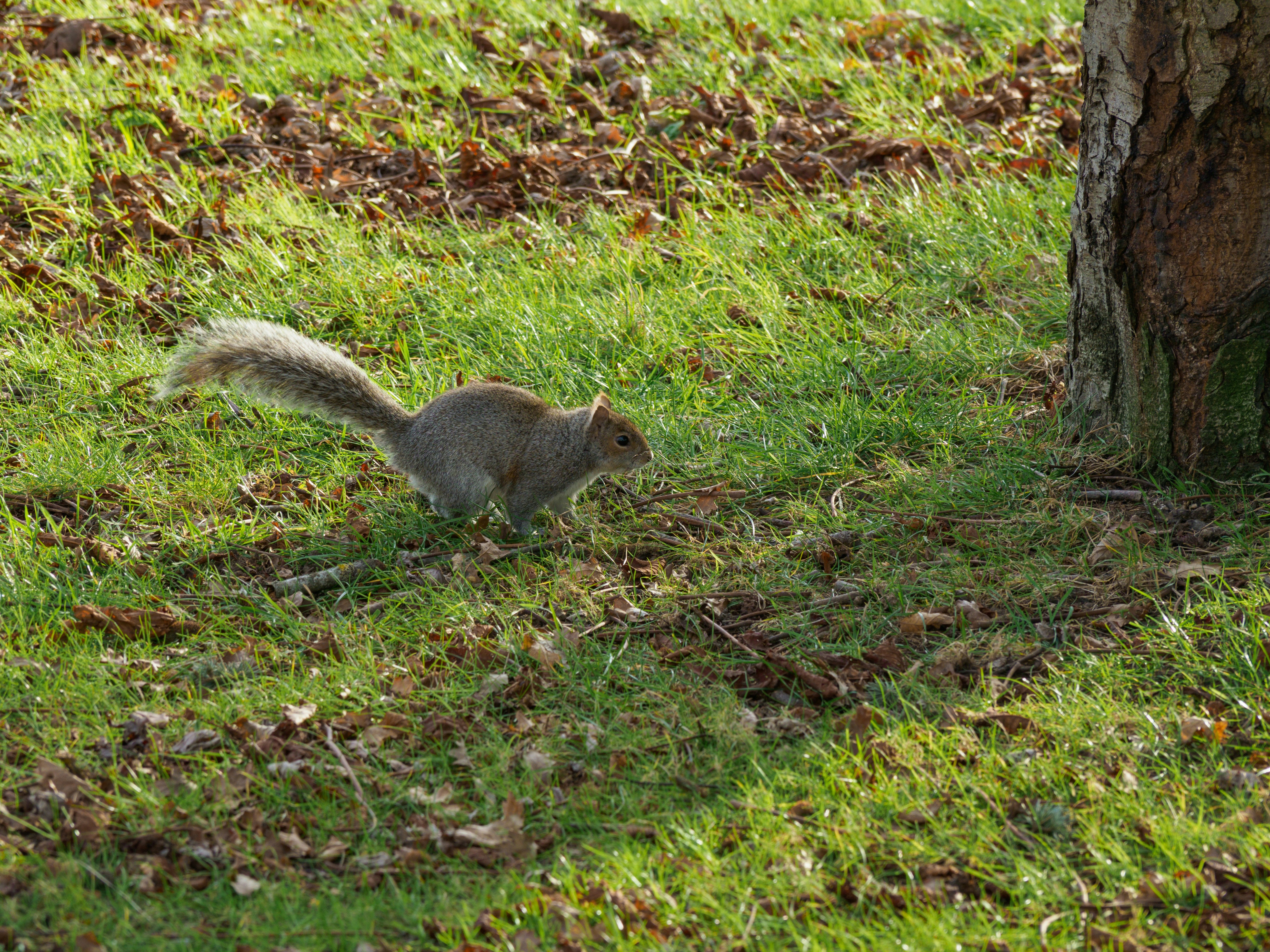 Photo by brett_jordan