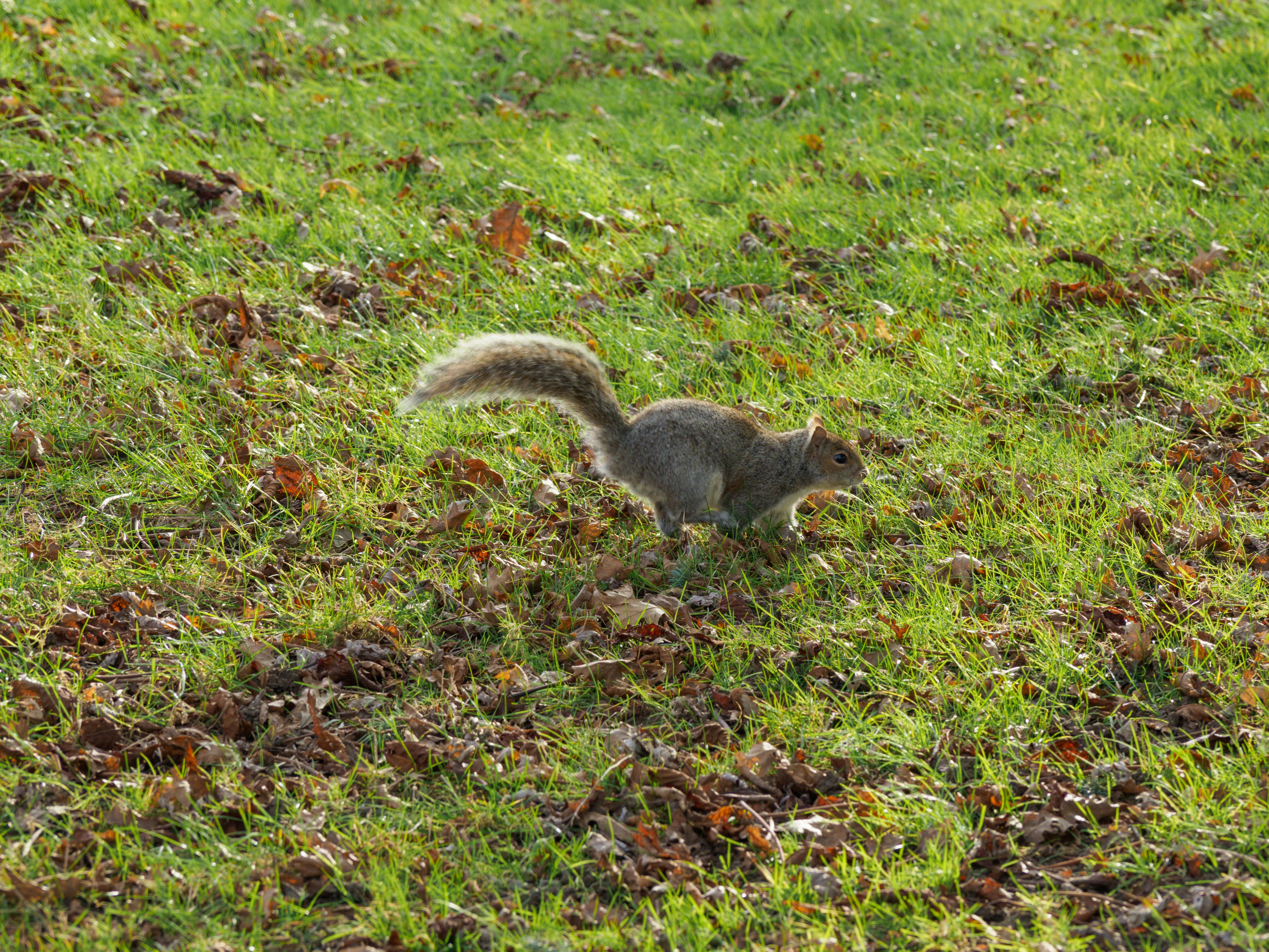 Photo by brett_jordan