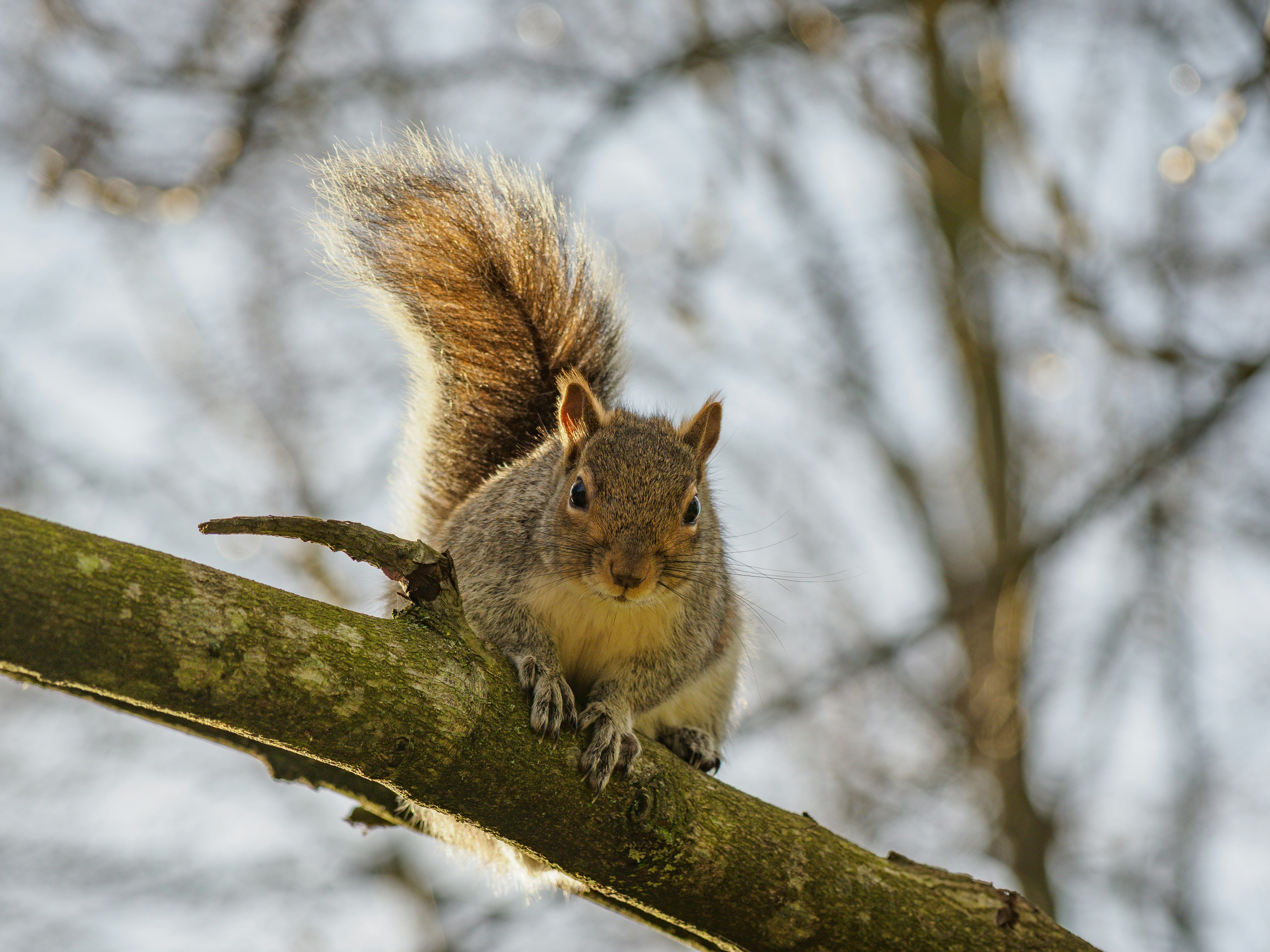 Photo by brett_jordan