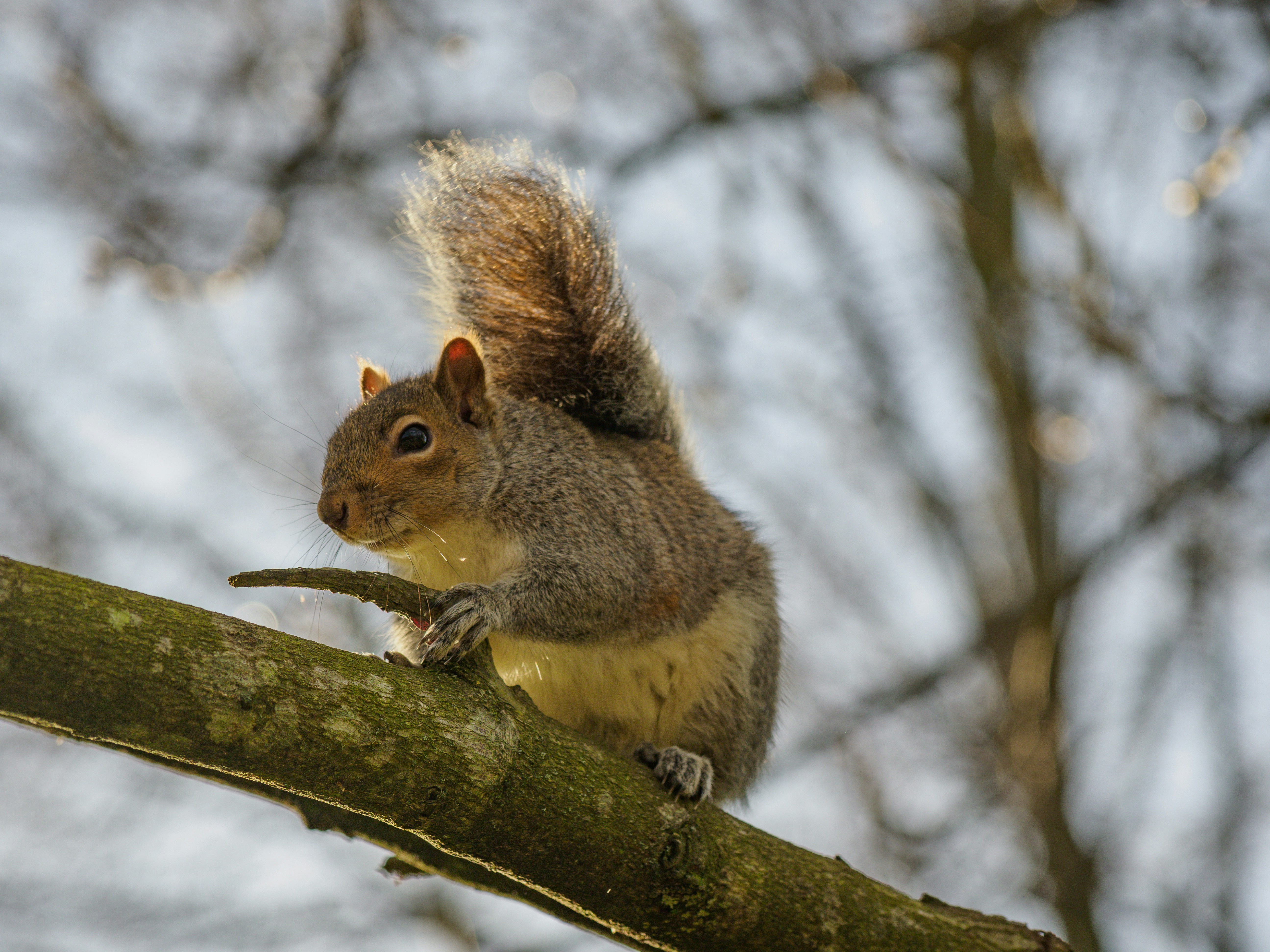 Photo by brett_jordan