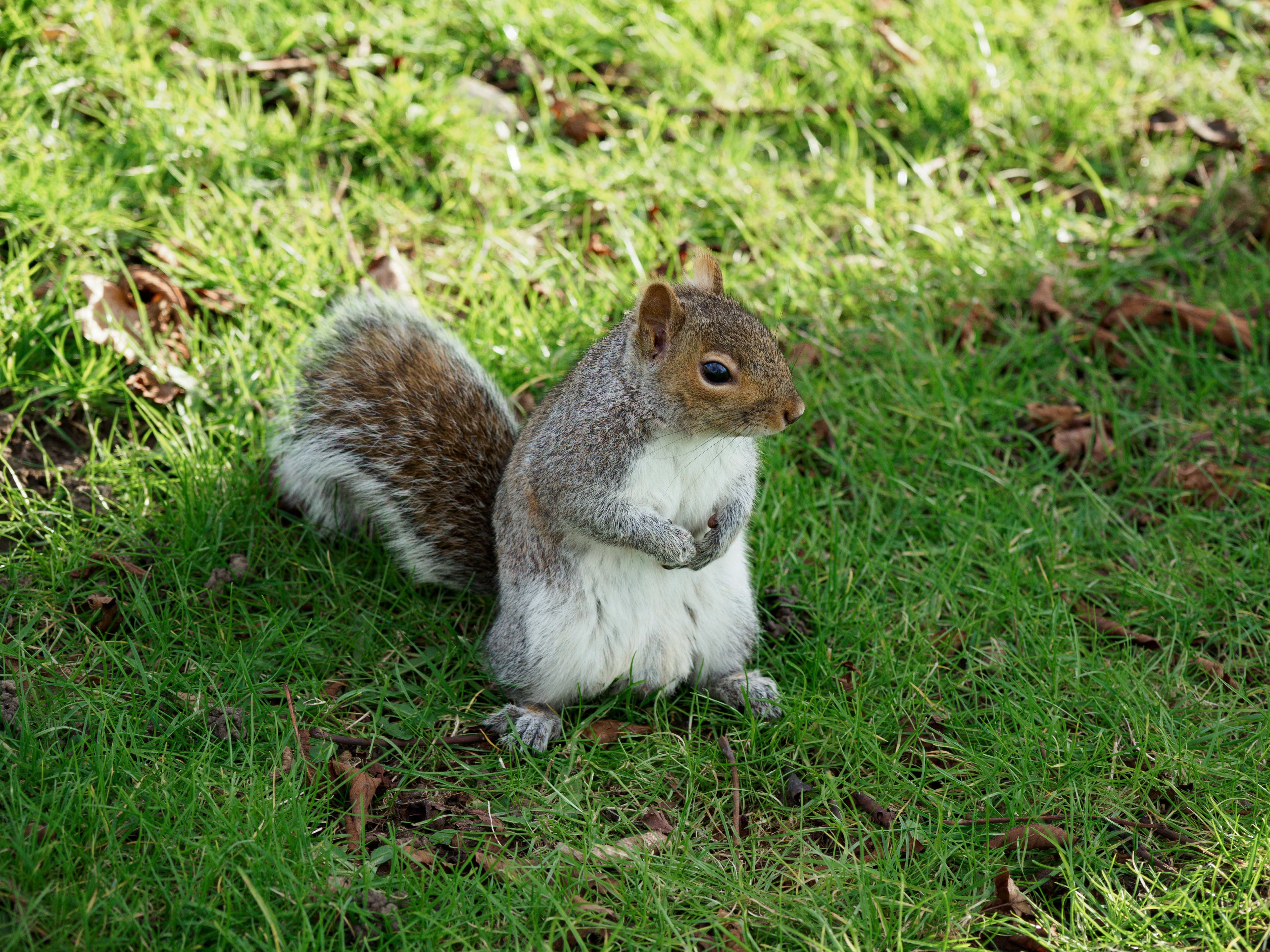 Photo by brett_jordan