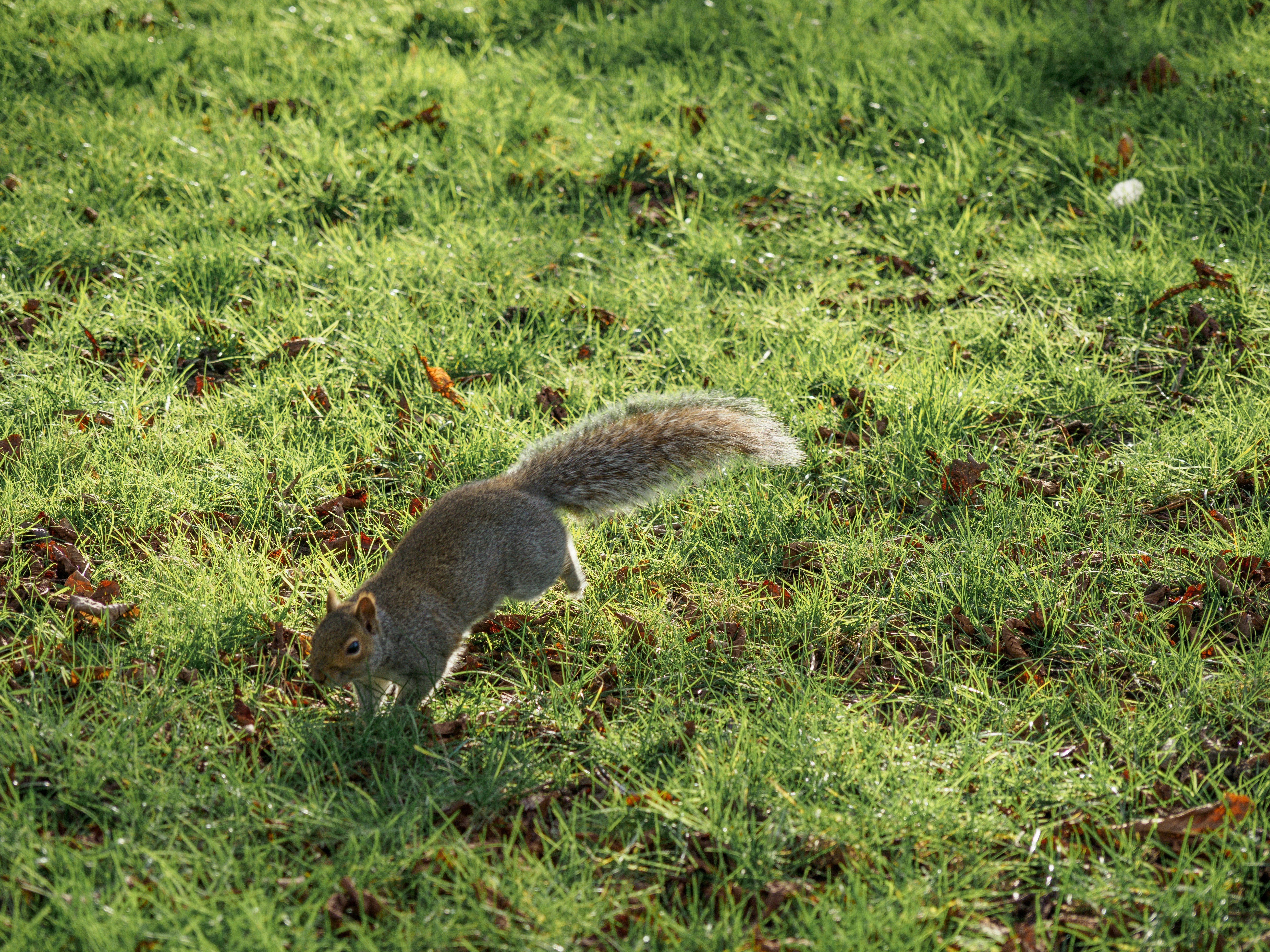 Photo by brett_jordan