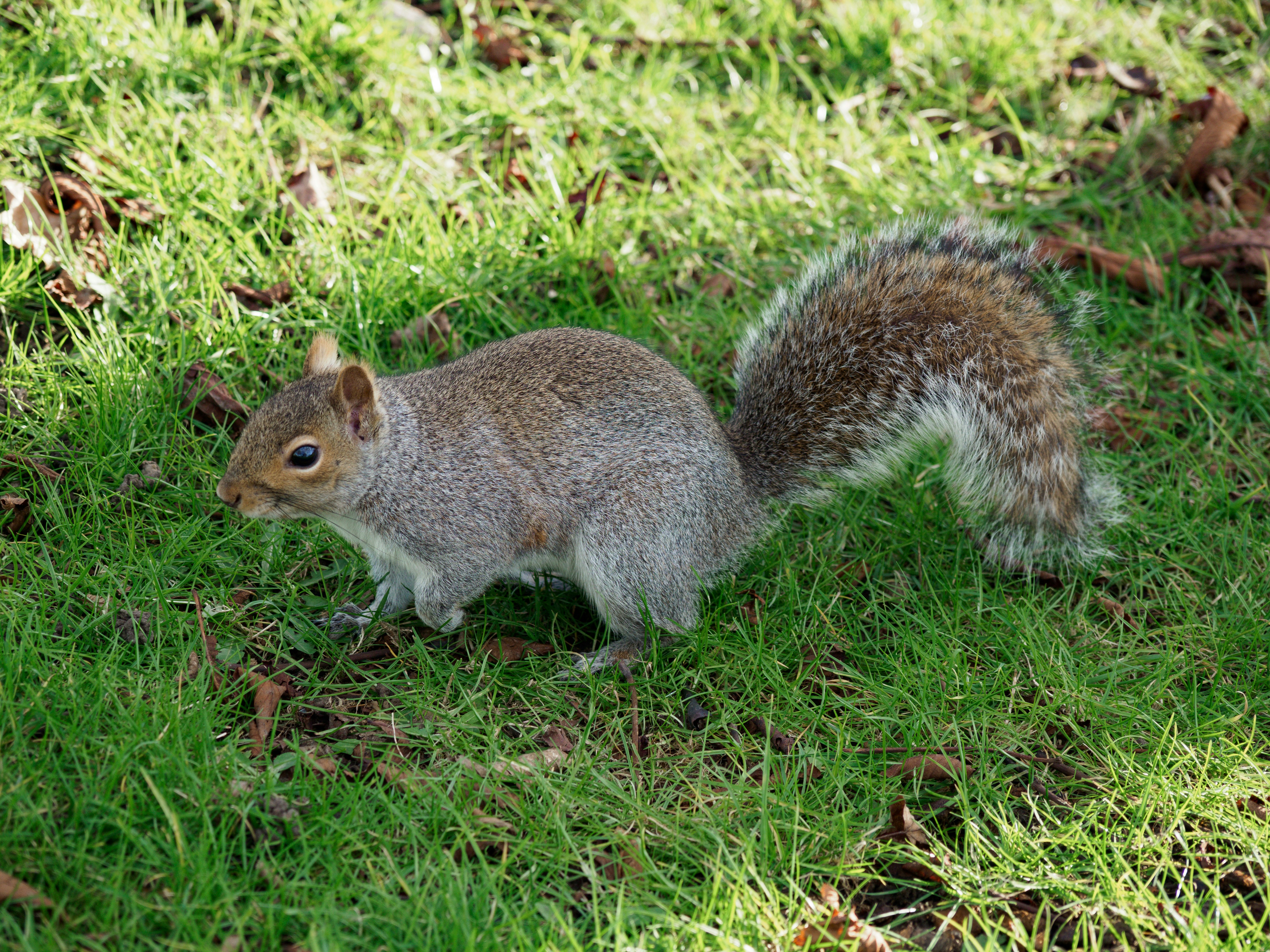 Photo by brett_jordan