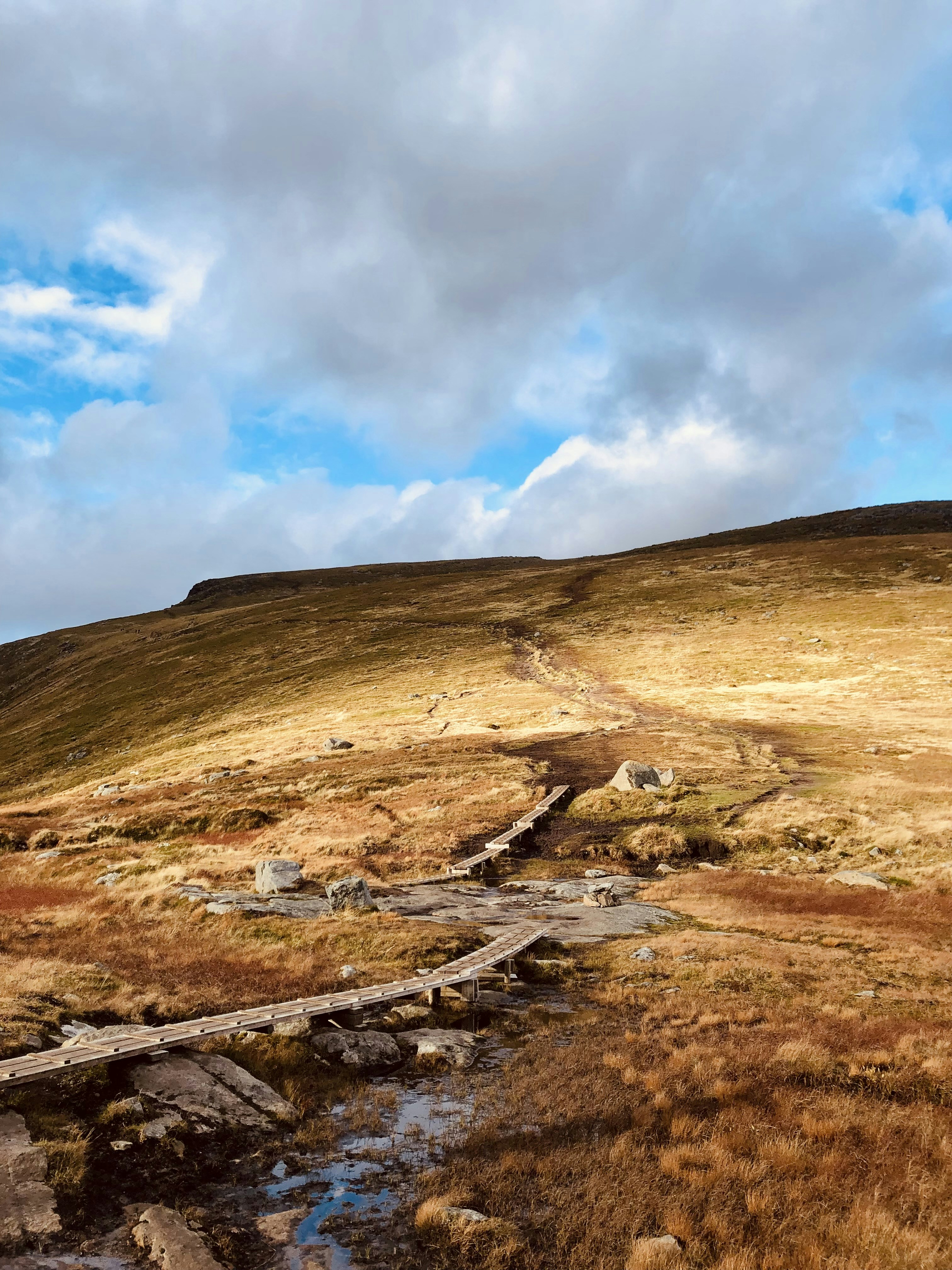 a grassy hill with a stream running through it