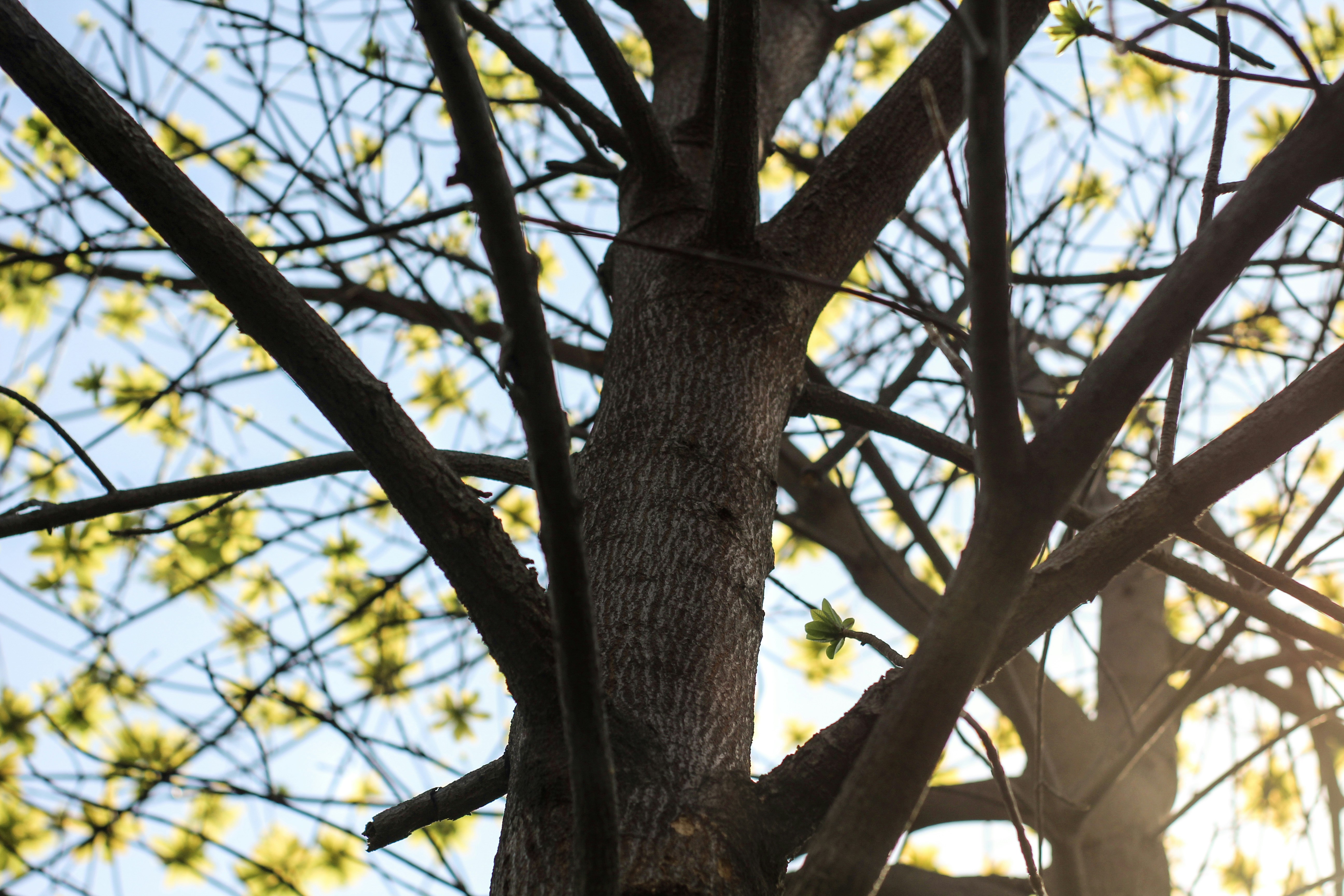 Photo by tusharranjan_