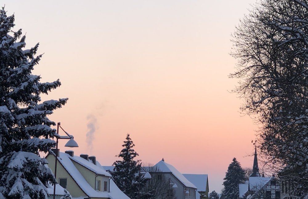 a snowy street lined with houses and trees