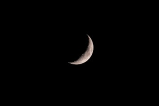 A crescent moon is prominently featured against a stark black sky, showcasing detailed craters along its illuminated edge.