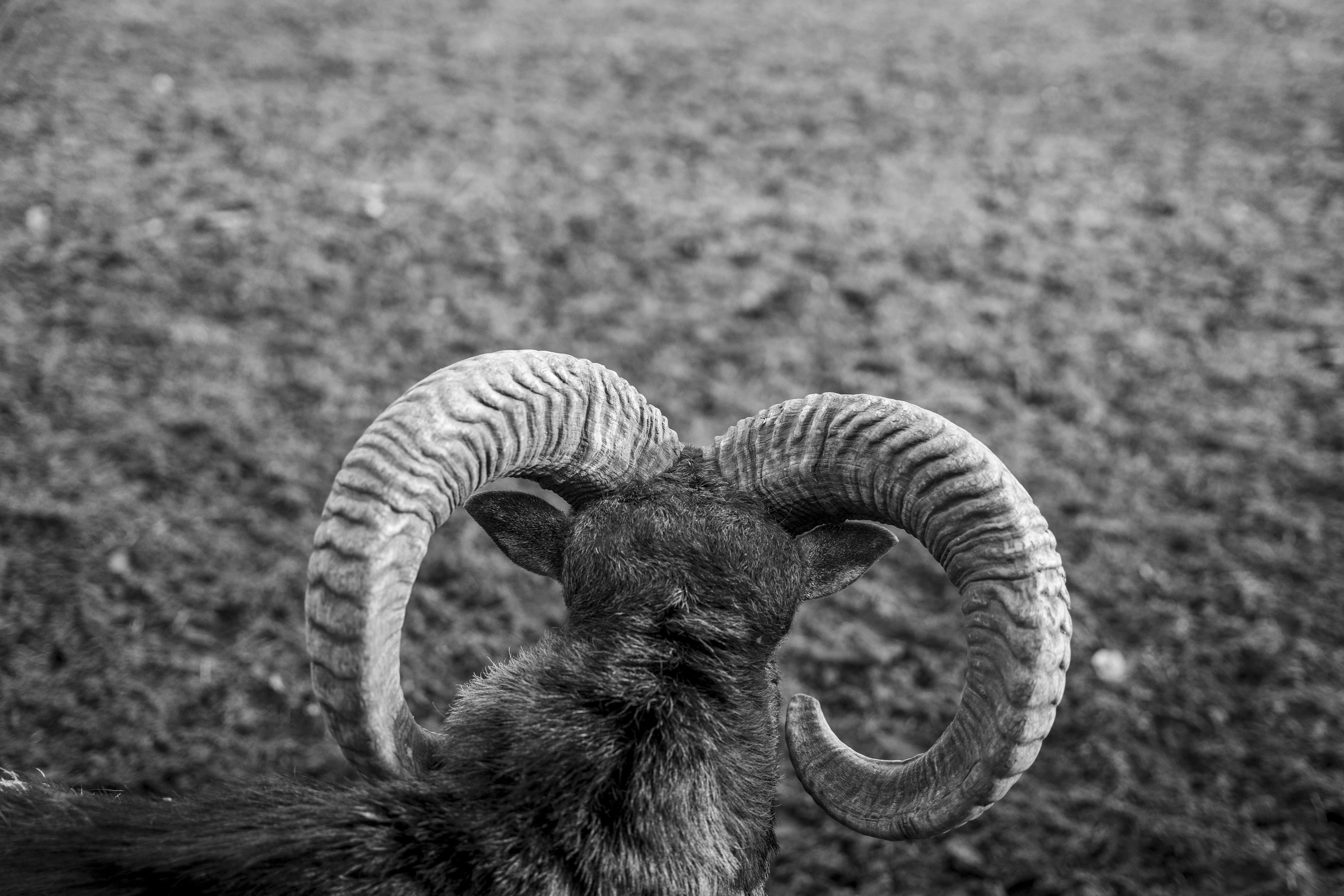 Photo by katclos