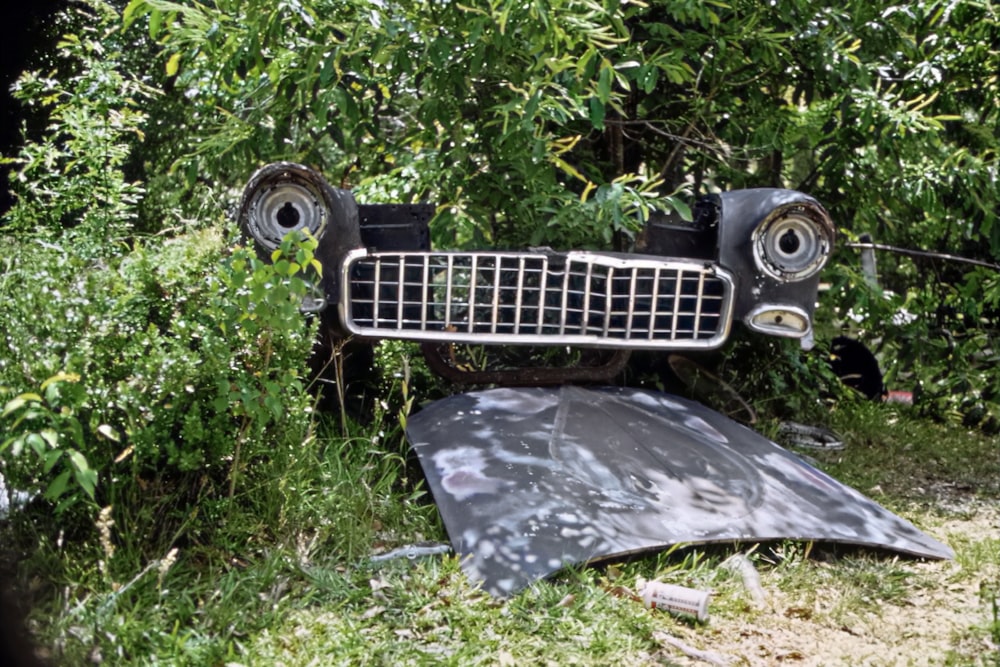 a car that is sitting in the grass