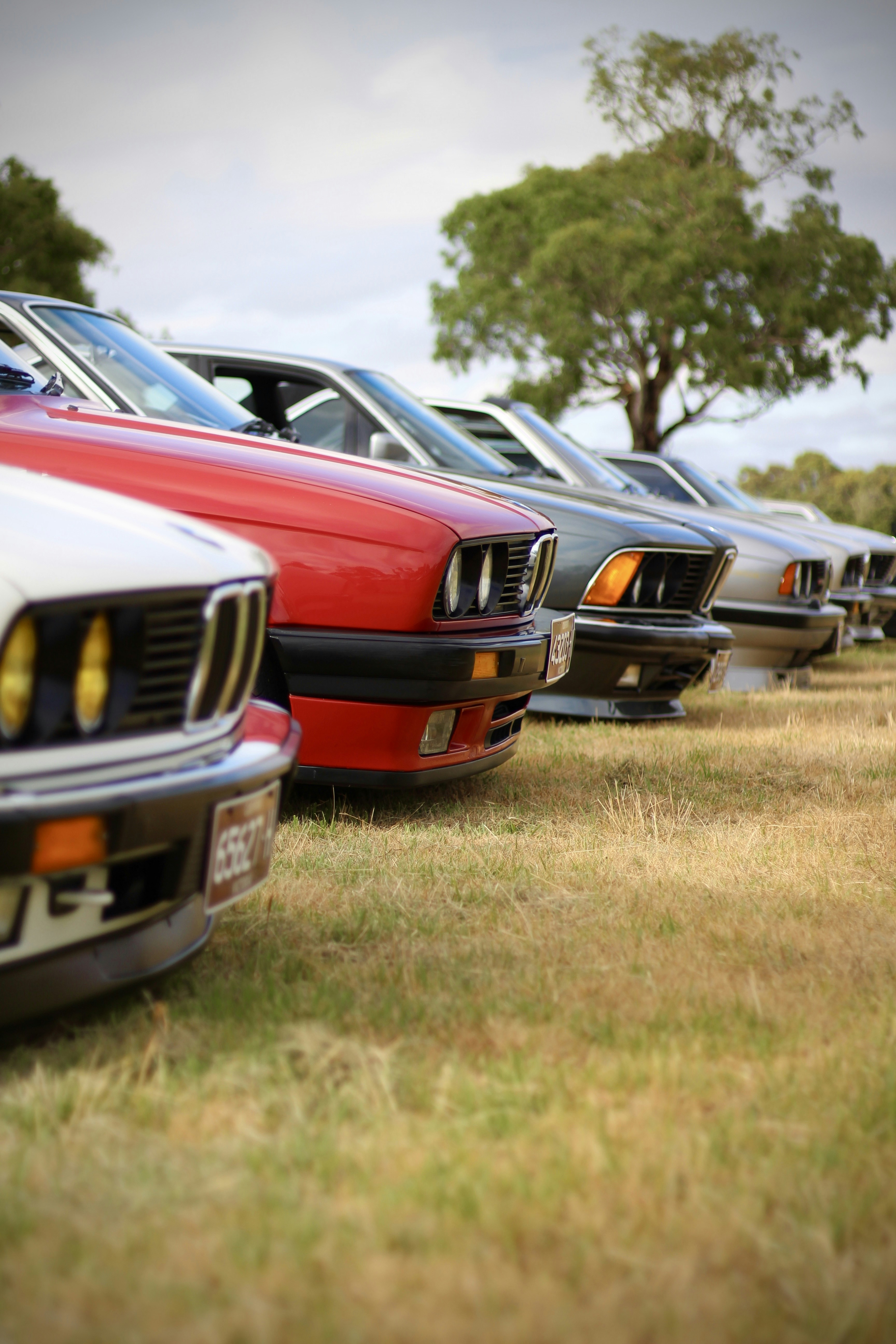 a row of parked cars sitting on top of a grass covered field