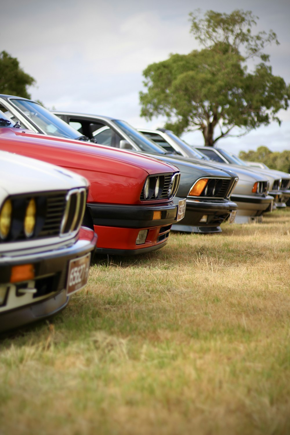 a row of parked cars sitting on top of a grass covered field