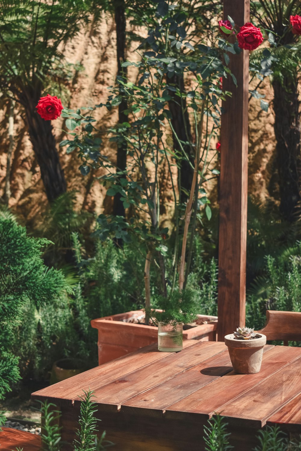 a wooden table with a potted plant on top of it