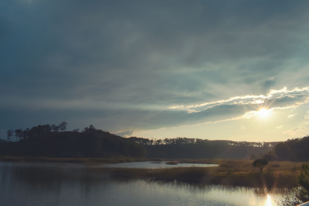 a body of water surrounded by a forest