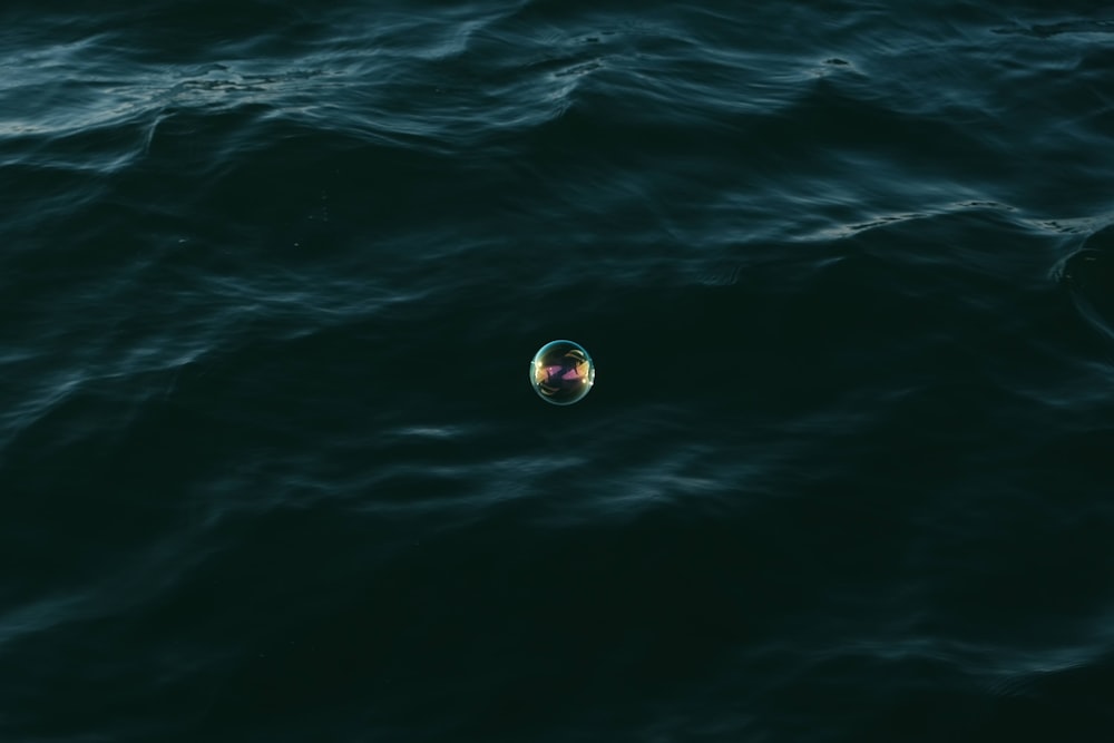 a small object floating on top of a body of water